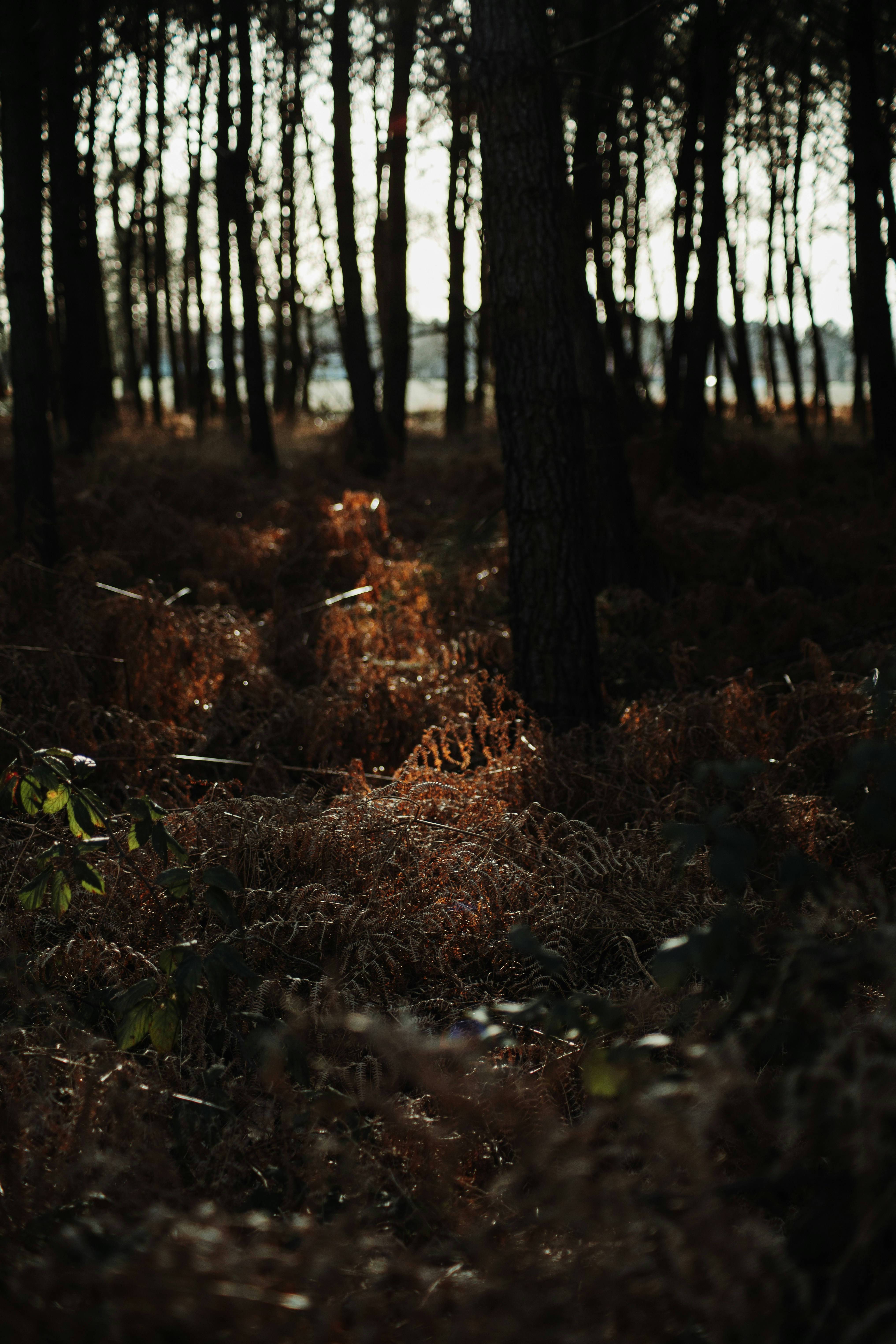 Photo by tom_bressolles