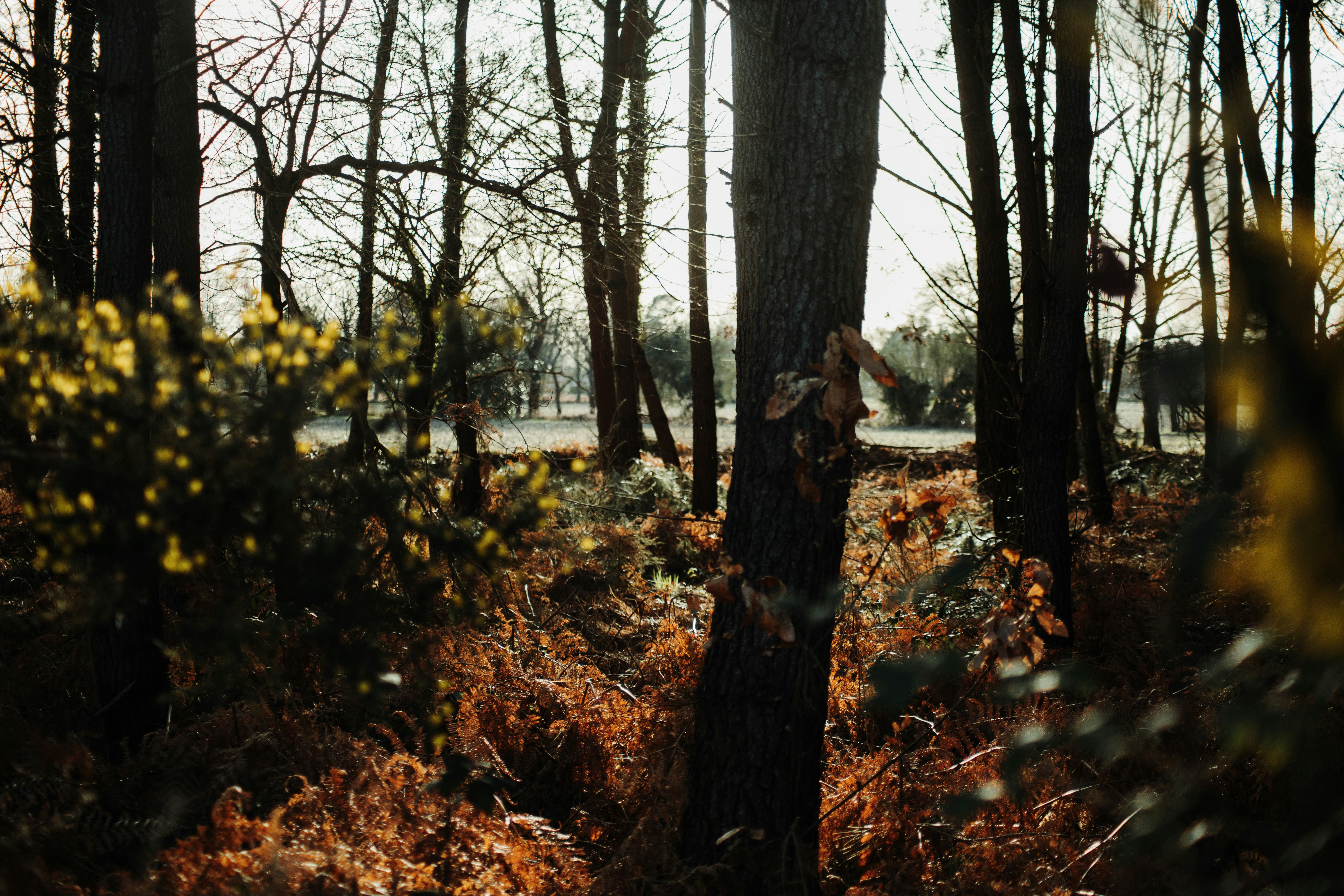 Photo by tom_bressolles