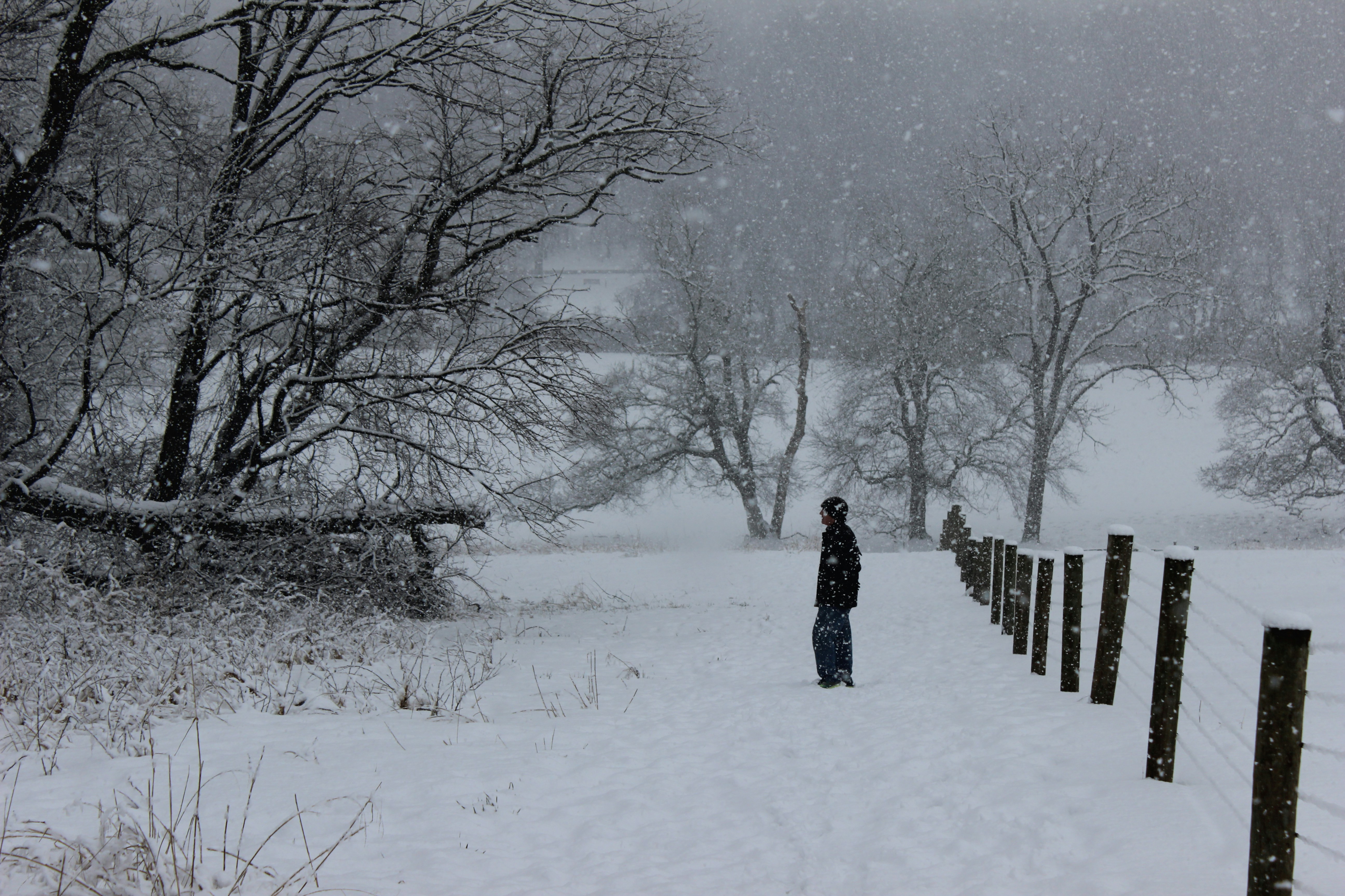 Photo by dbrewster66