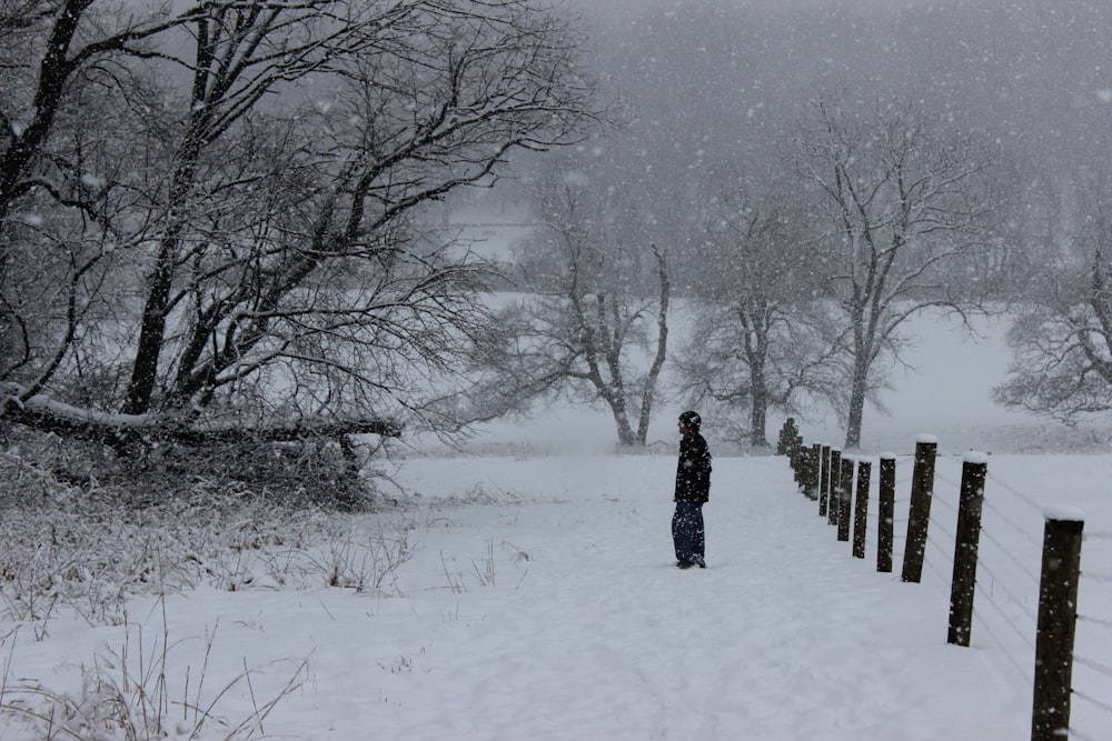 昼間、雪に覆われた地面に立つ黒いコートを着た人