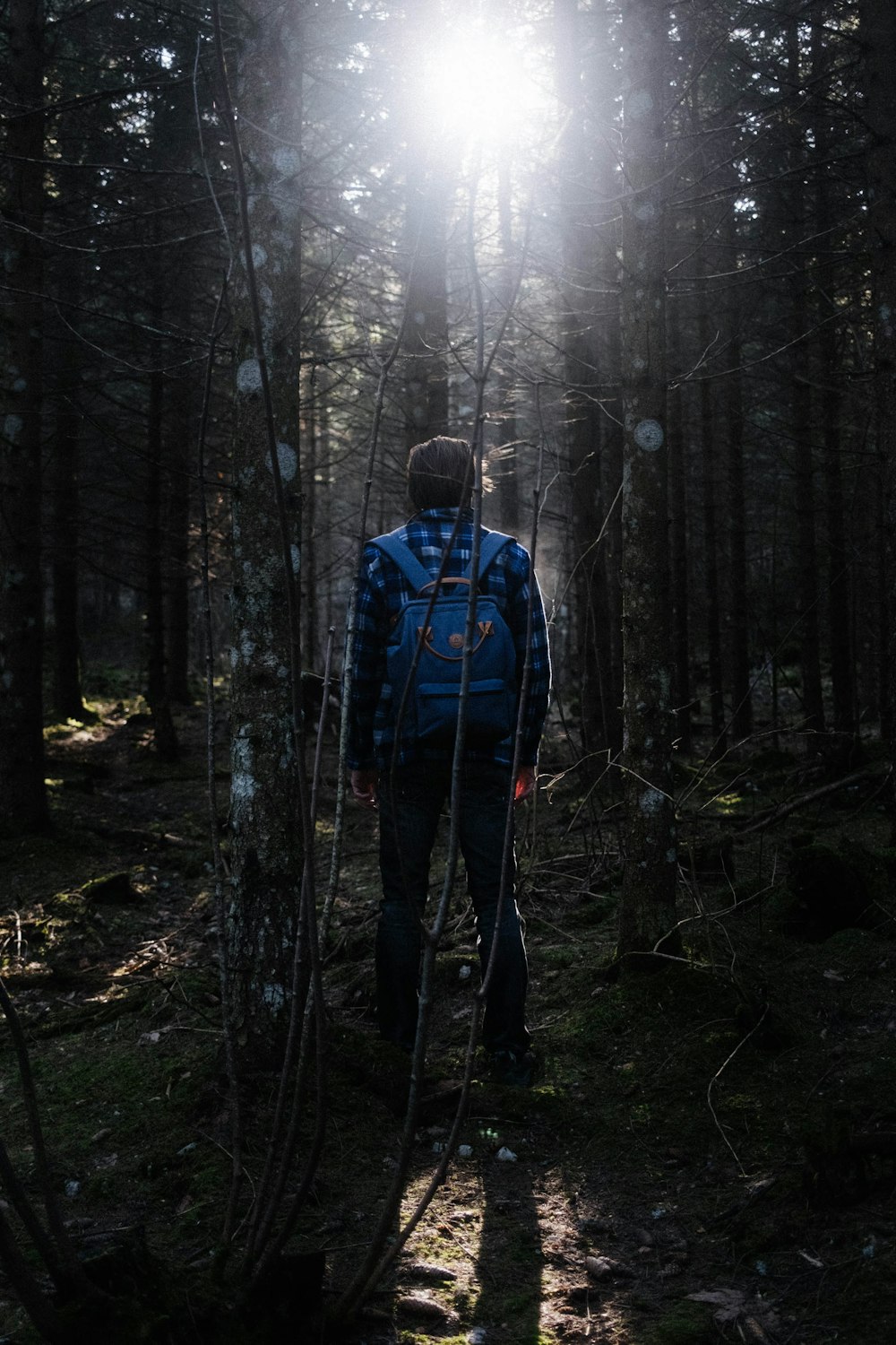 man in blue jacket standing in the woods