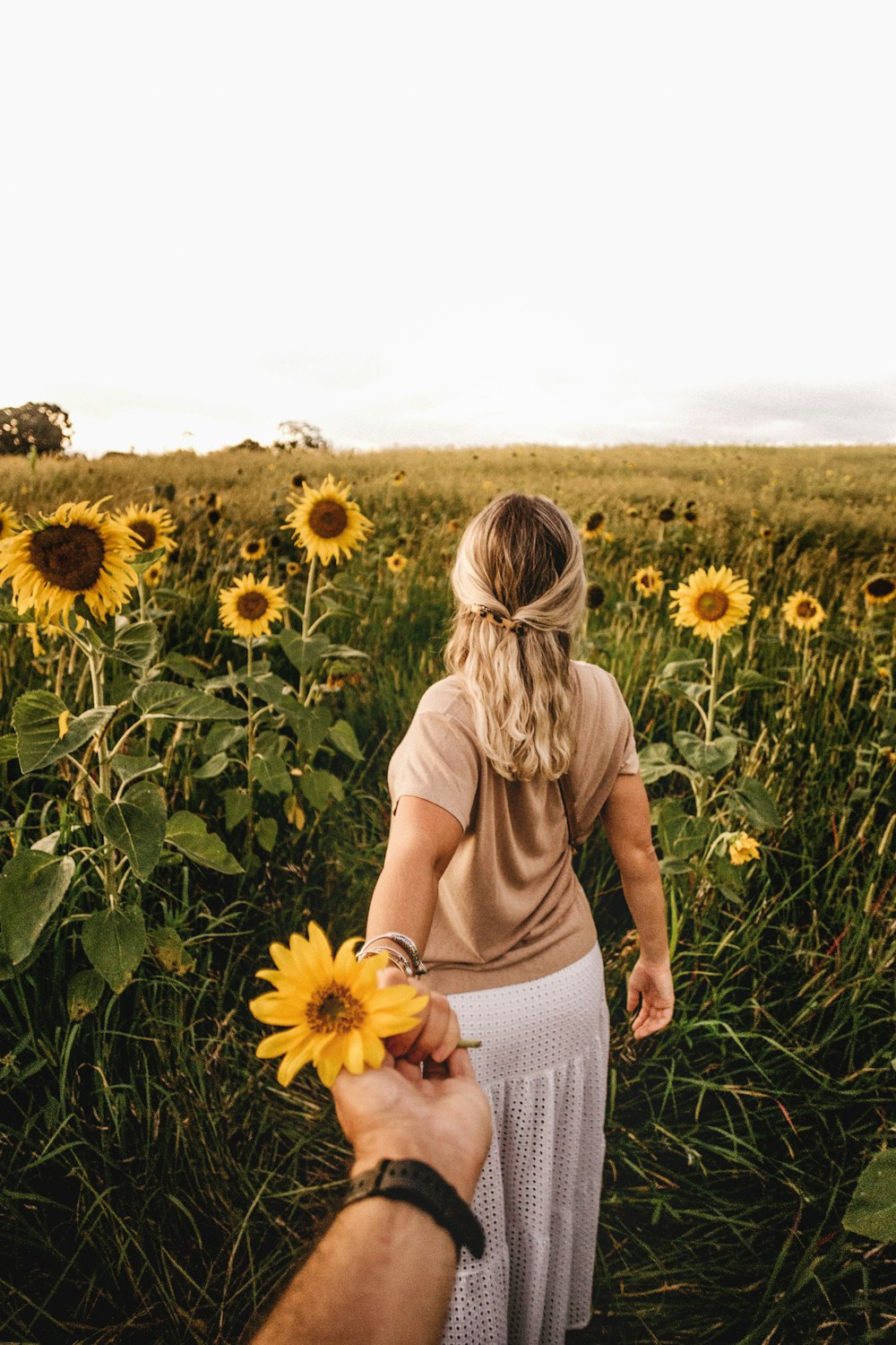 Frau im braunen Hemd tagsüber auf Sonnenblumenfeld