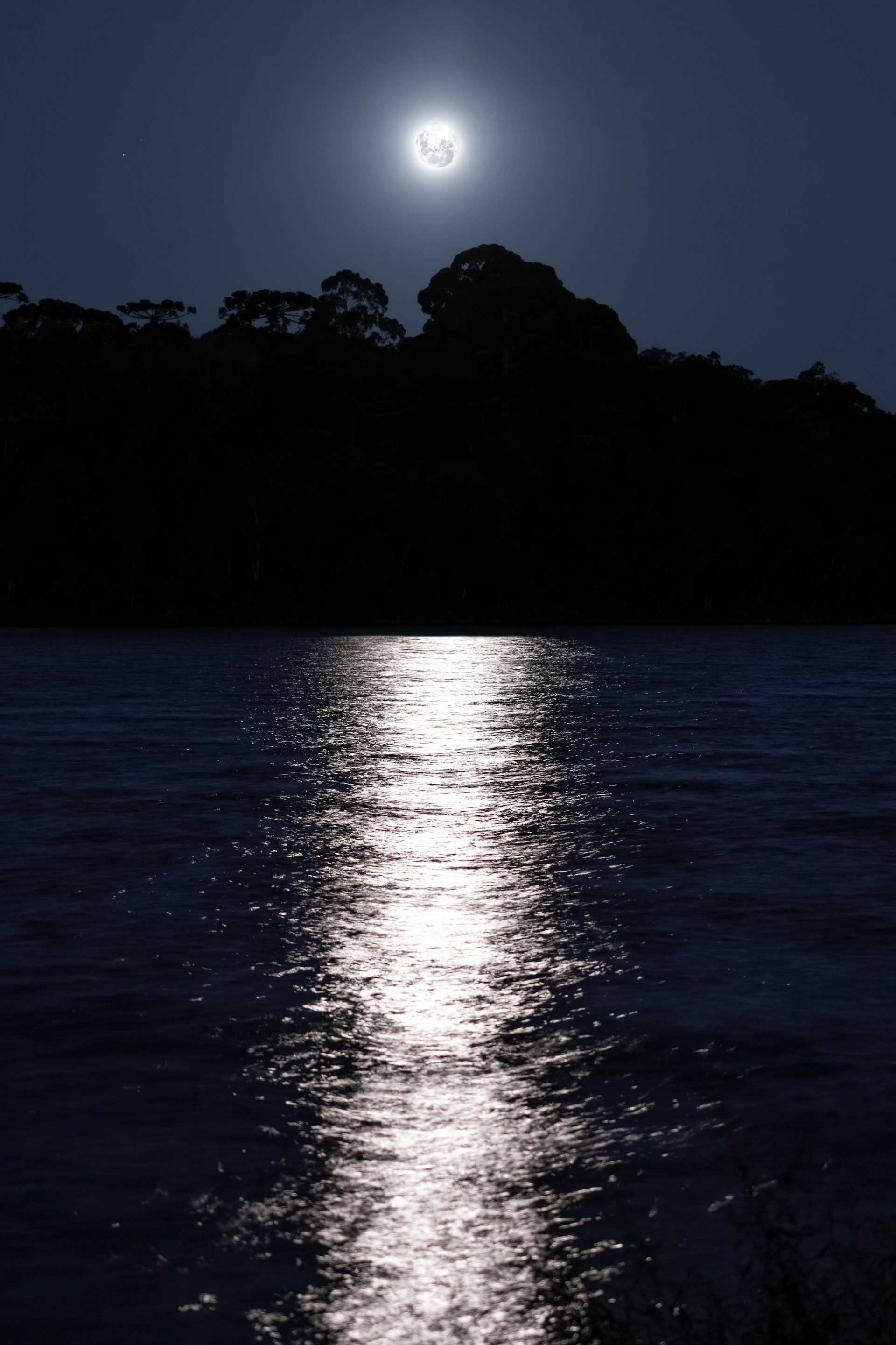 body of water during night time
