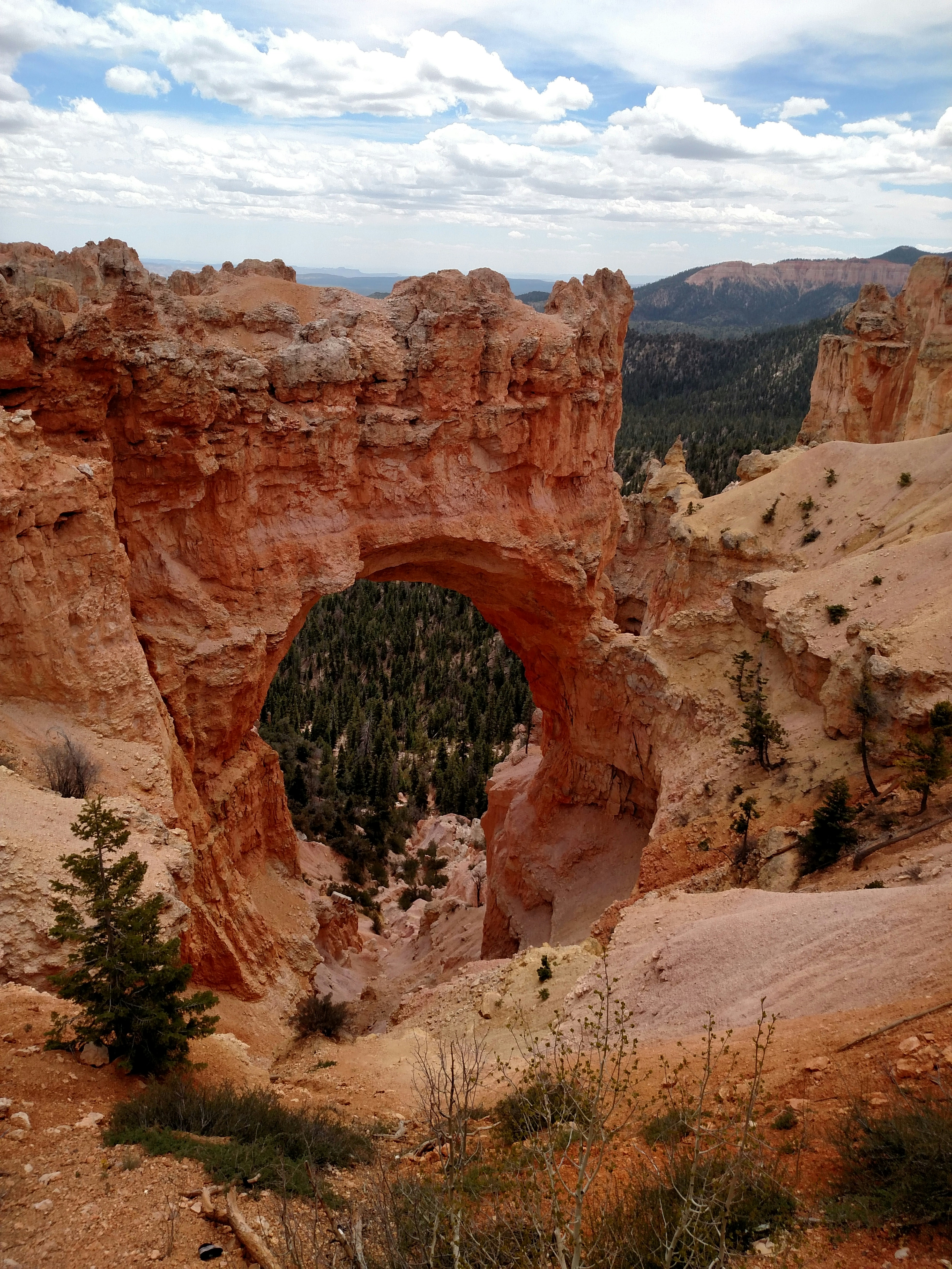 July 2022 notion recap 🦂