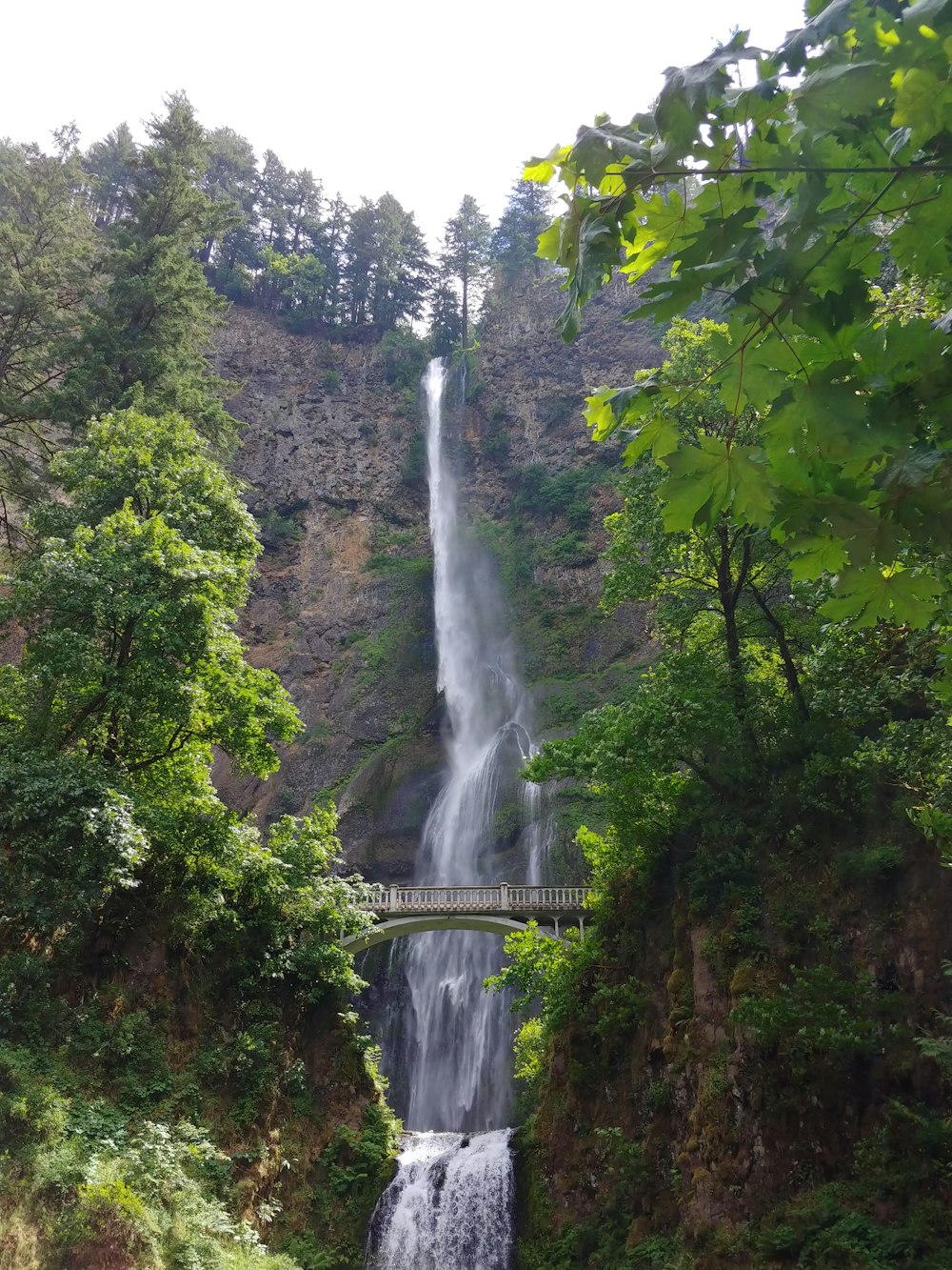 Wasserfälle mitten im Wald