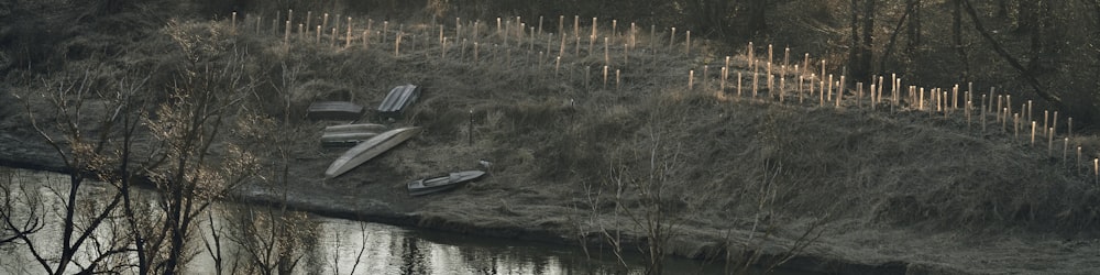 white canoe on river during daytime