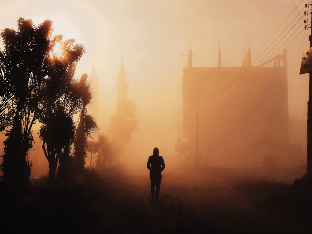 silhouette of person standing near palm tree during sunset