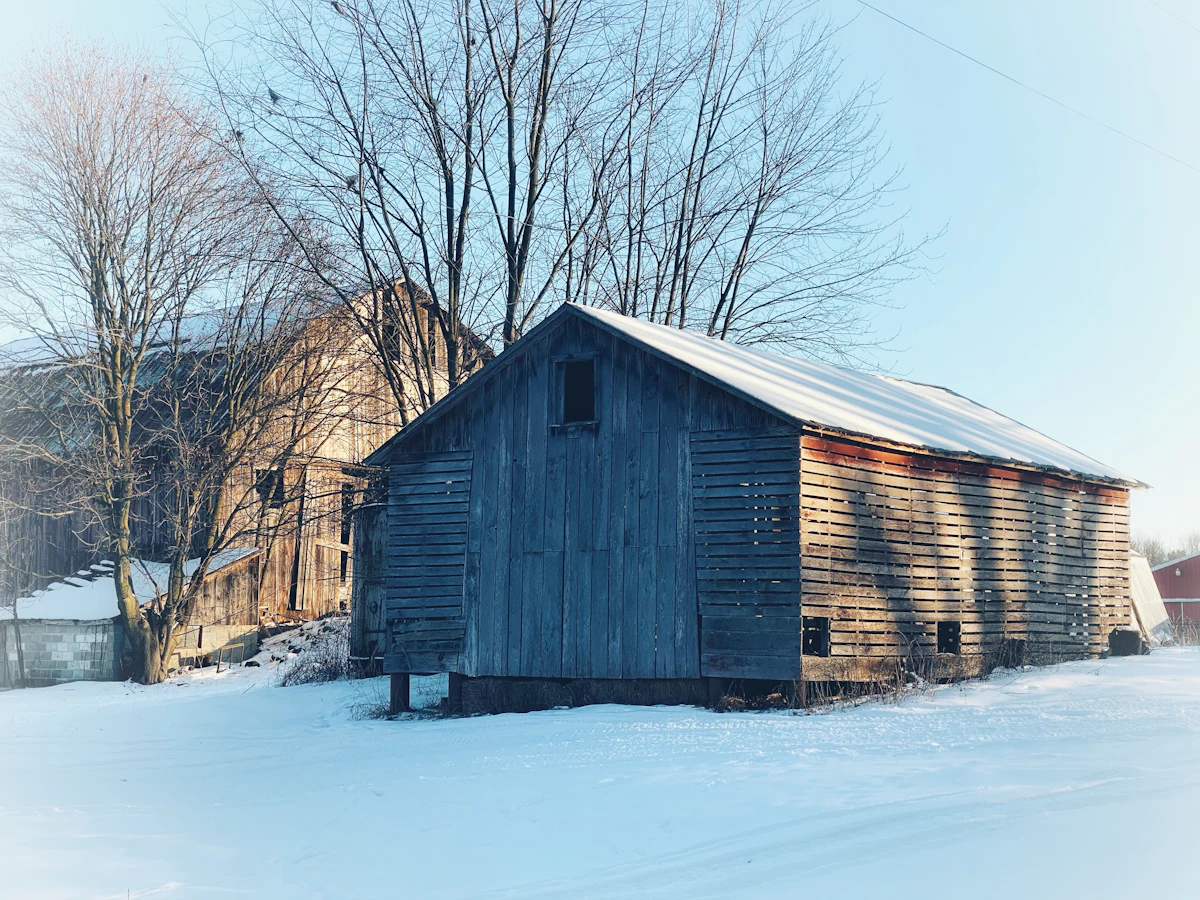 An old wooden barn with a snowy roof beside bare trees on a Michigan farm