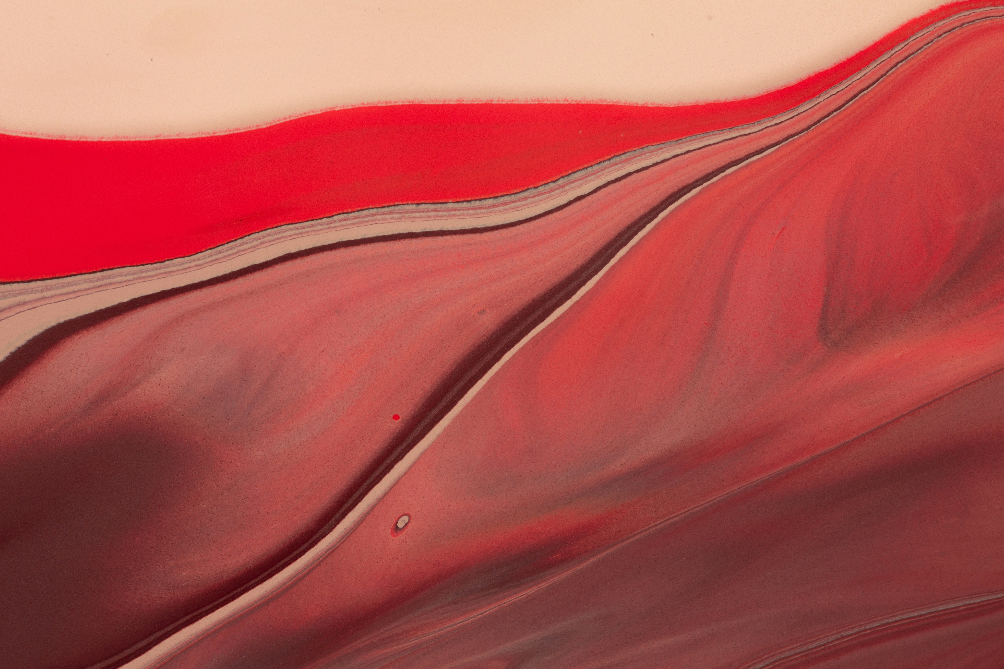 Photo by solenfeyissa