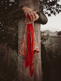 A person is embracing a tree trunk with crossed hands resting on the bark. A vibrant red scarf with intricate patterns drapes over the tree trunk. Surrounding foliage and a misty landscape in the background create a serene, natural setting.