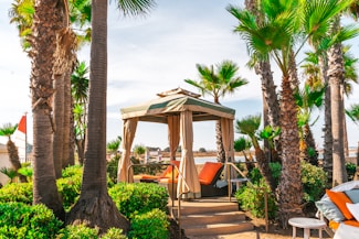 A lush, tropical outdoor setting featuring tall palm trees surrounding a cozy cabana with beige curtains and orange cushions. A calm sea is visible in the background, and the area is bathed in bright sunlight, creating a relaxing atmosphere.