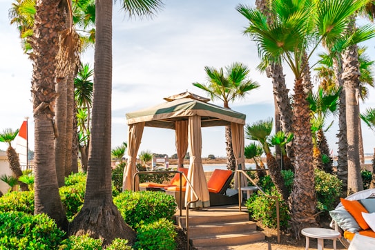 A lush, tropical outdoor setting featuring tall palm trees surrounding a cozy cabana with beige curtains and orange cushions. A calm sea is visible in the background, and the area is bathed in bright sunlight, creating a relaxing atmosphere.