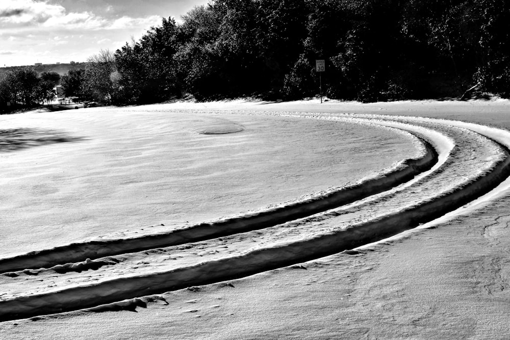 grayscale photo of trees and sand