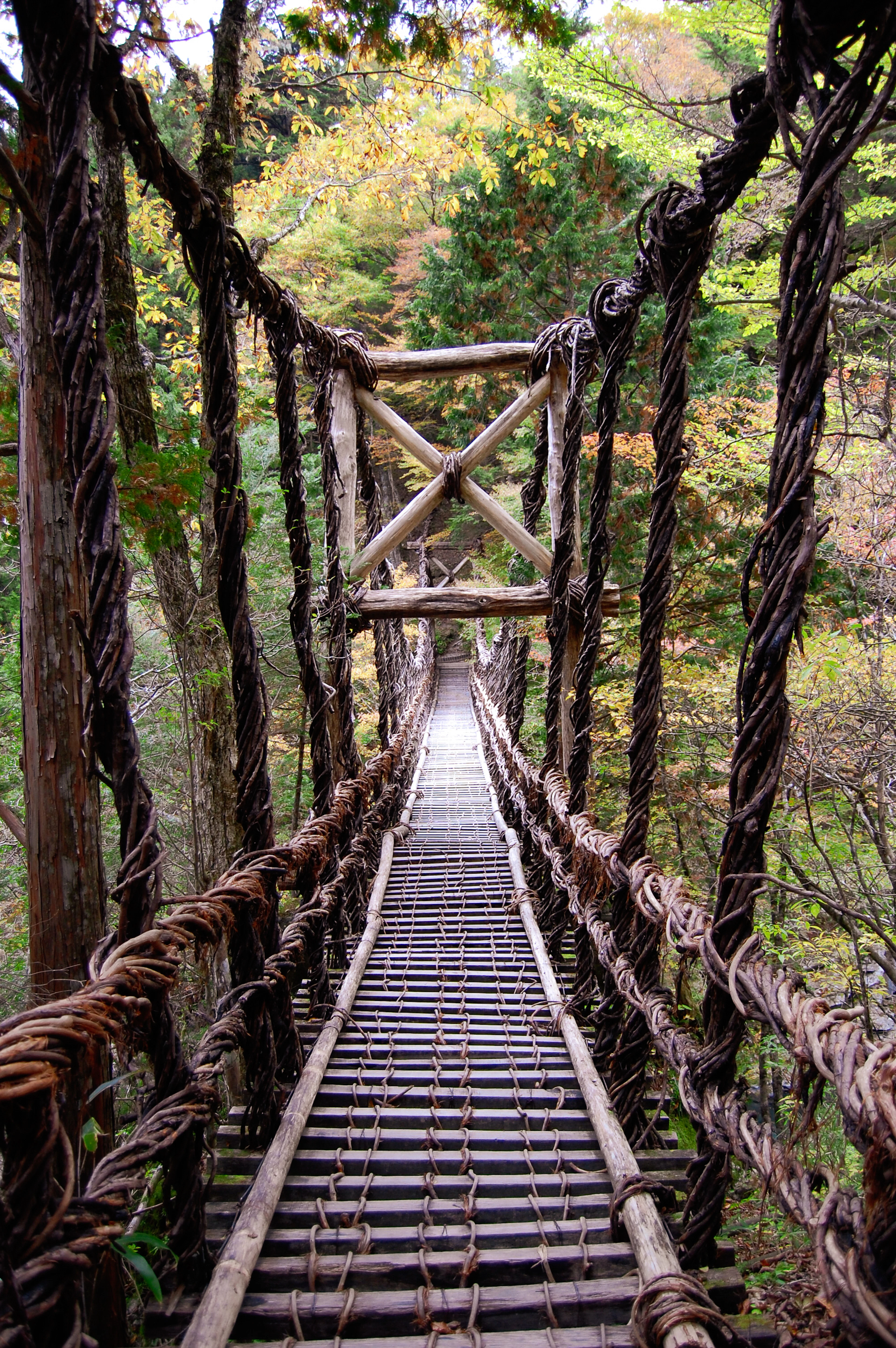 A suspension bridge woven from vines in the forest of the Iya Valley
