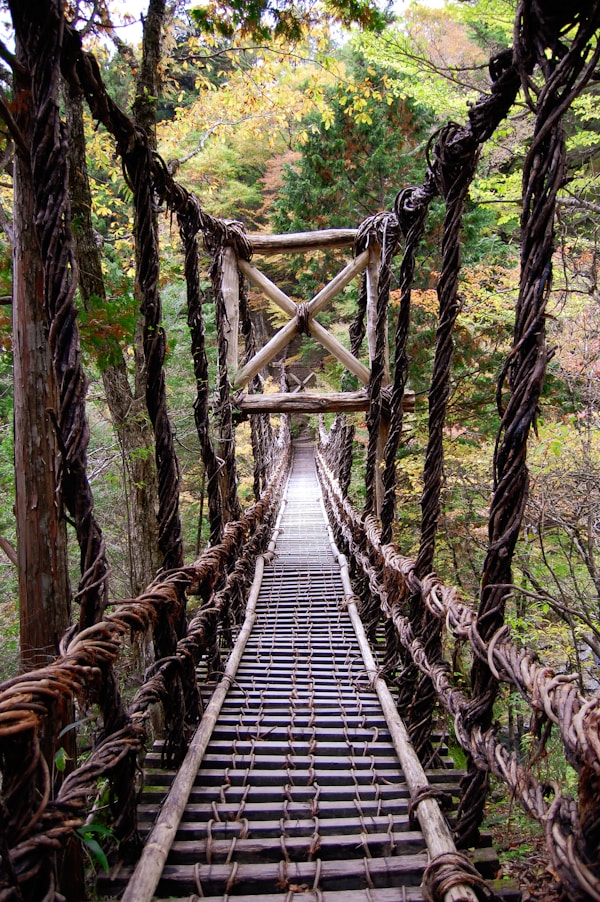 Explore Tokushima: A Serene Travel Guide