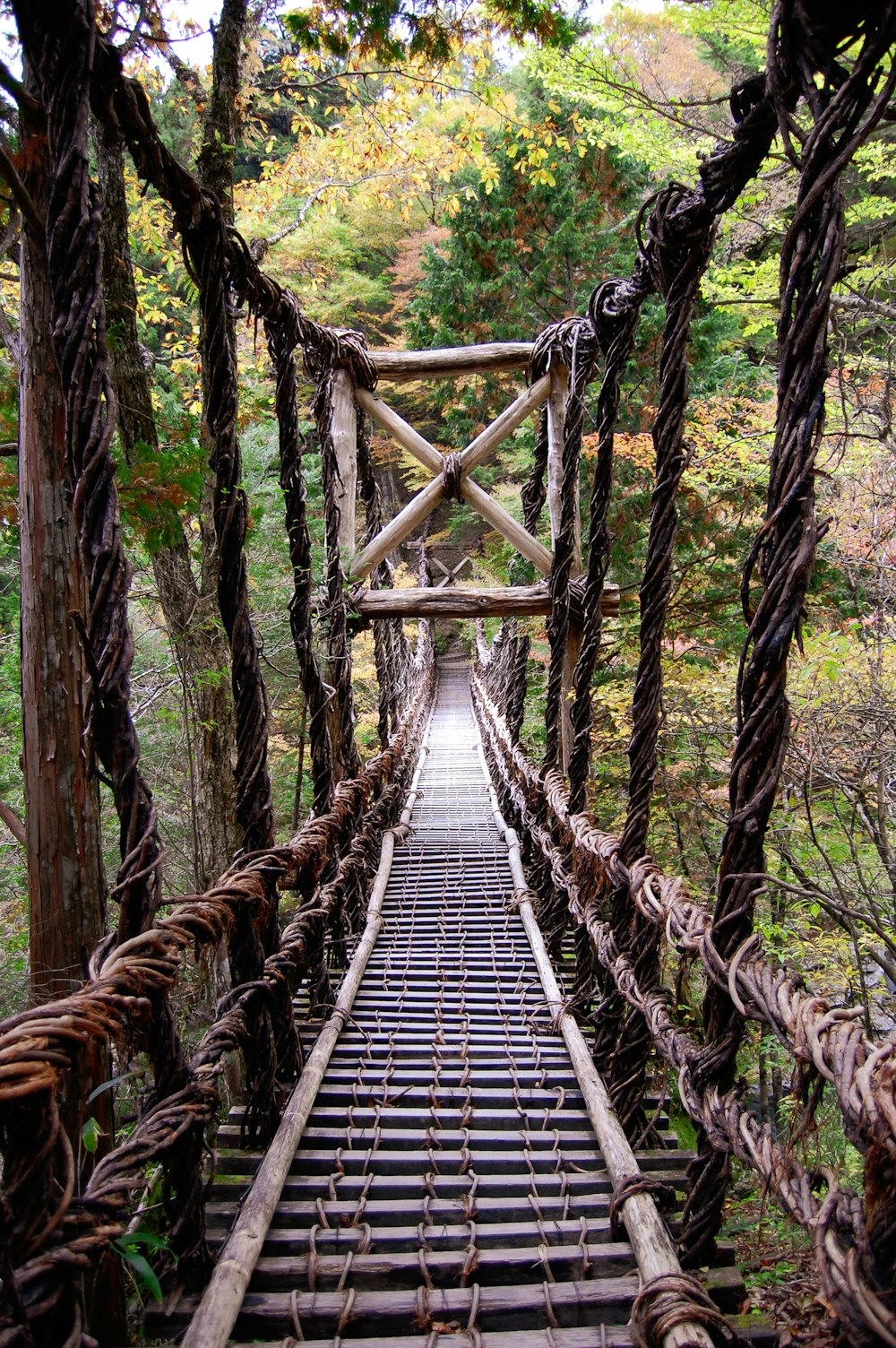 brown wooden bridge in forest during daytime