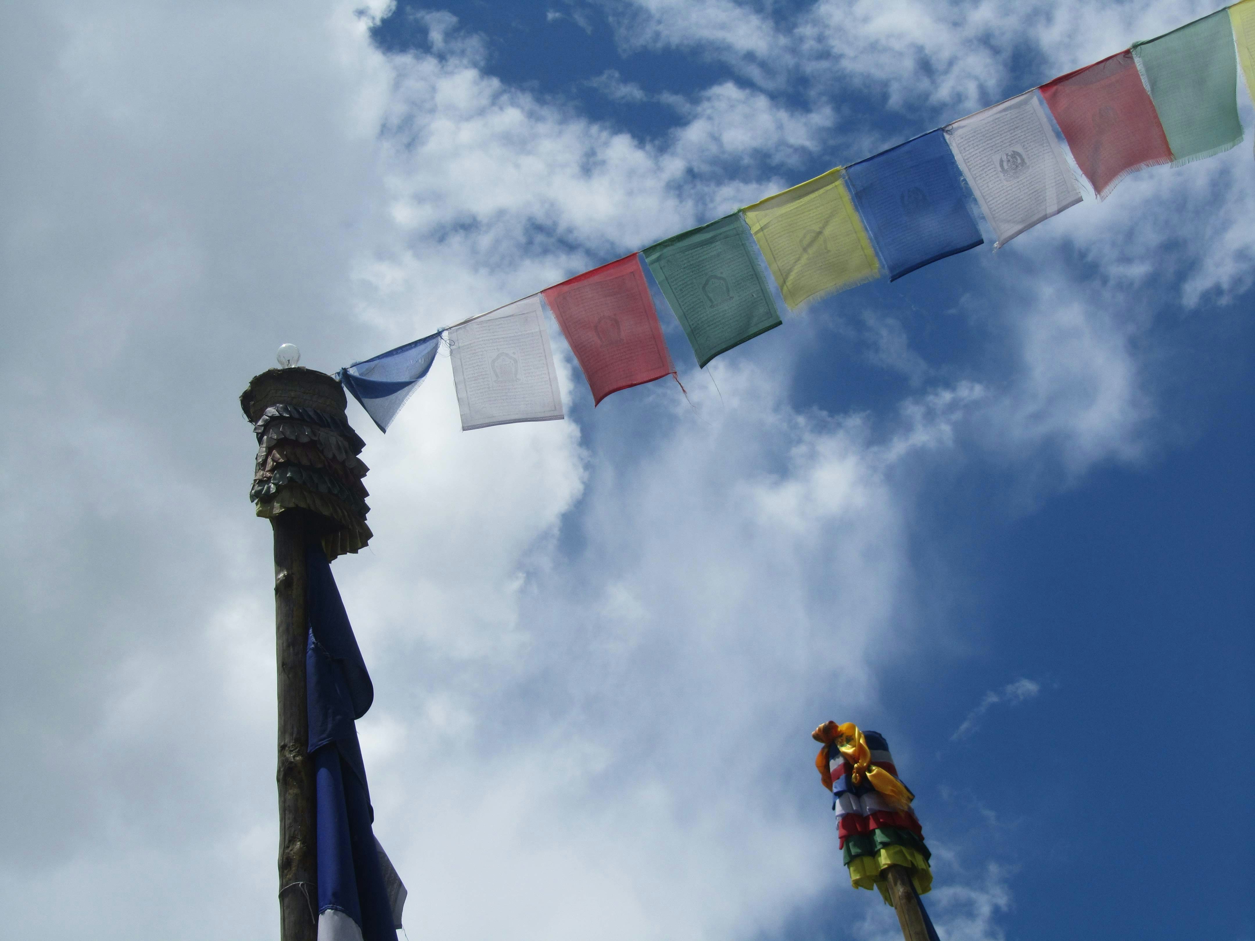 A Layover in Distress