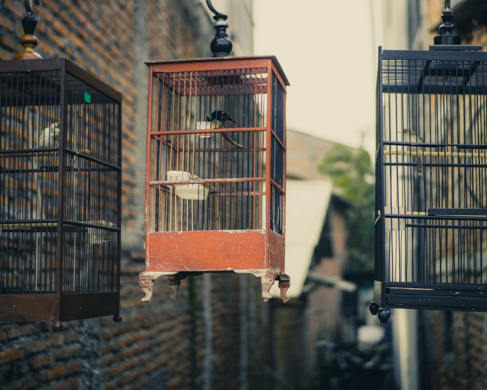 red and black metal bird cage