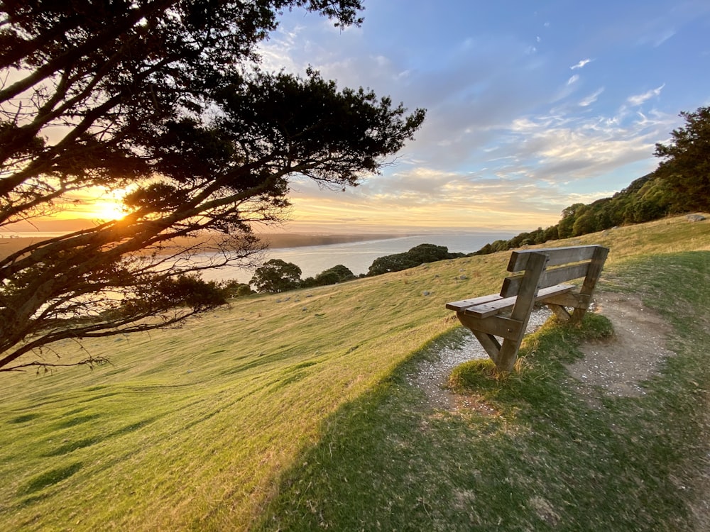 brown wooden bench on green grass field near body of water during sunset