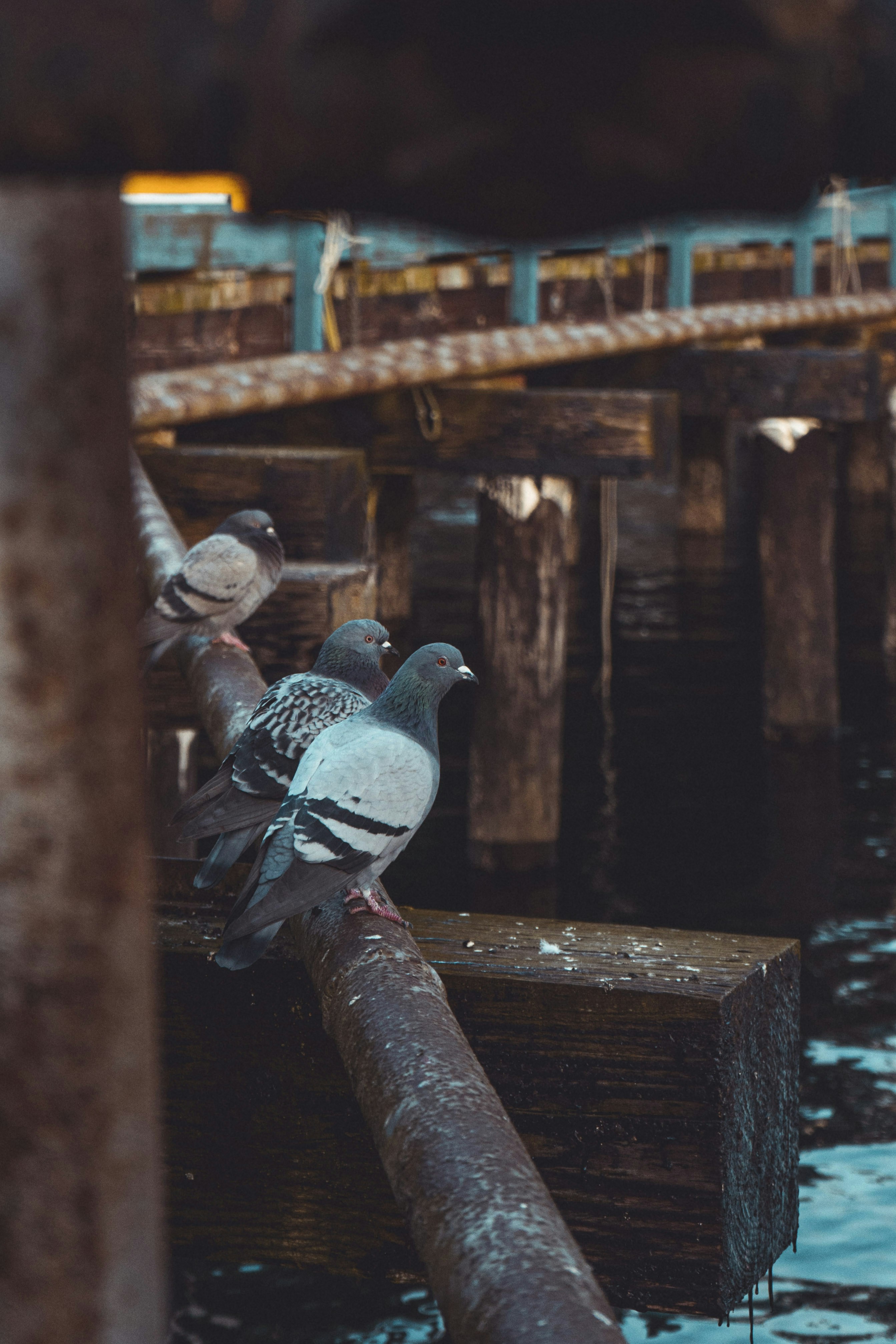 Photo by jaspergarrattphotography