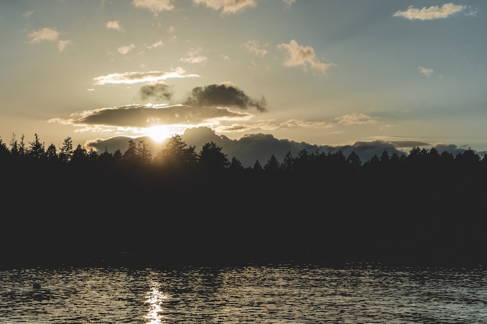 Silueta de árboles cerca del cuerpo de agua durante la puesta del sol