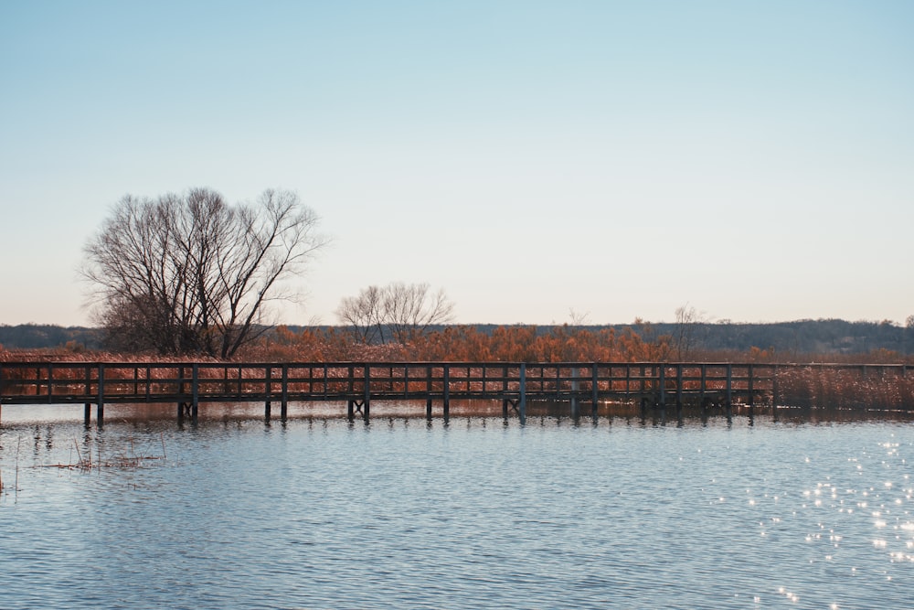 brown wooden dock on body of water during daytime