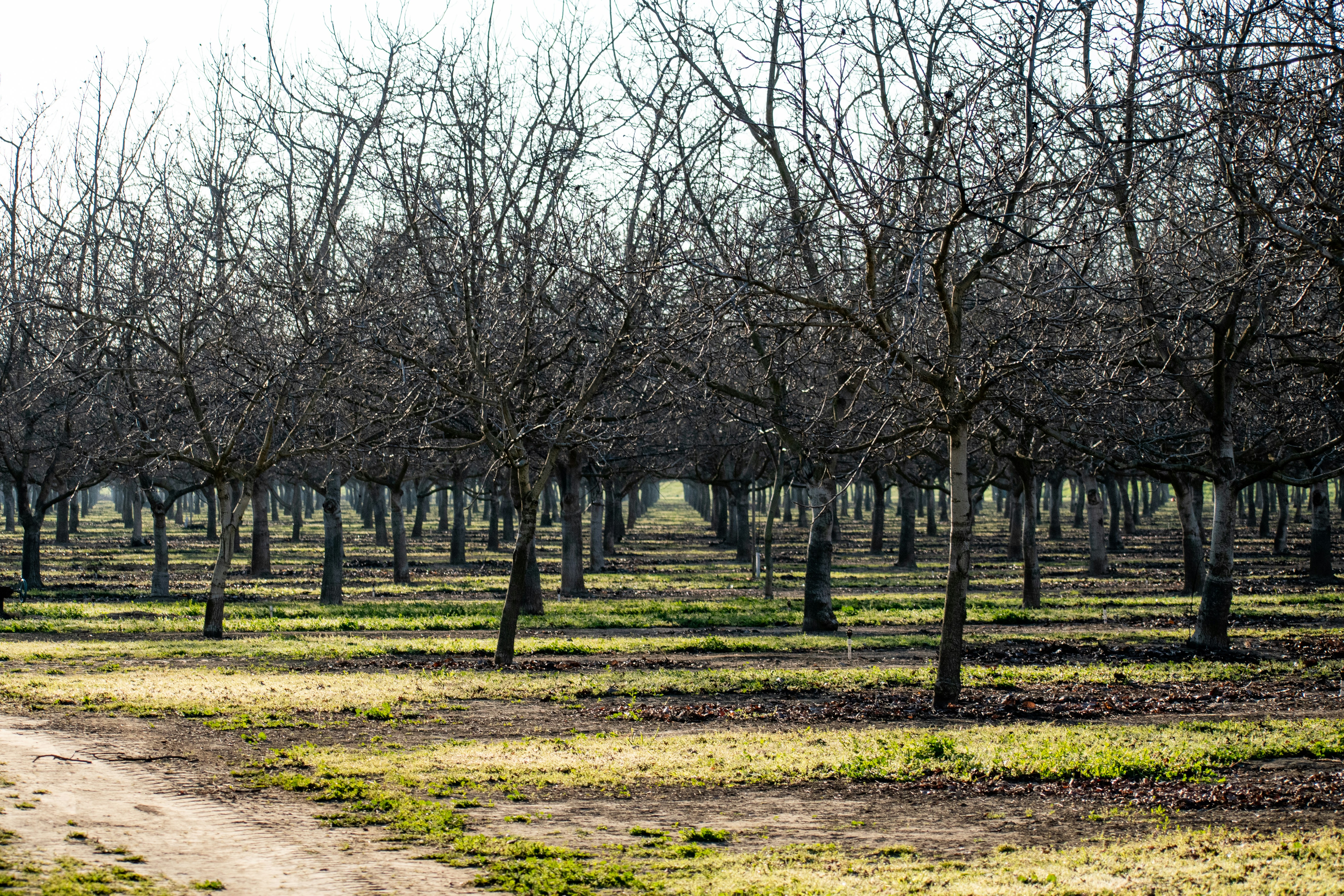 Photo by elisastonephotography