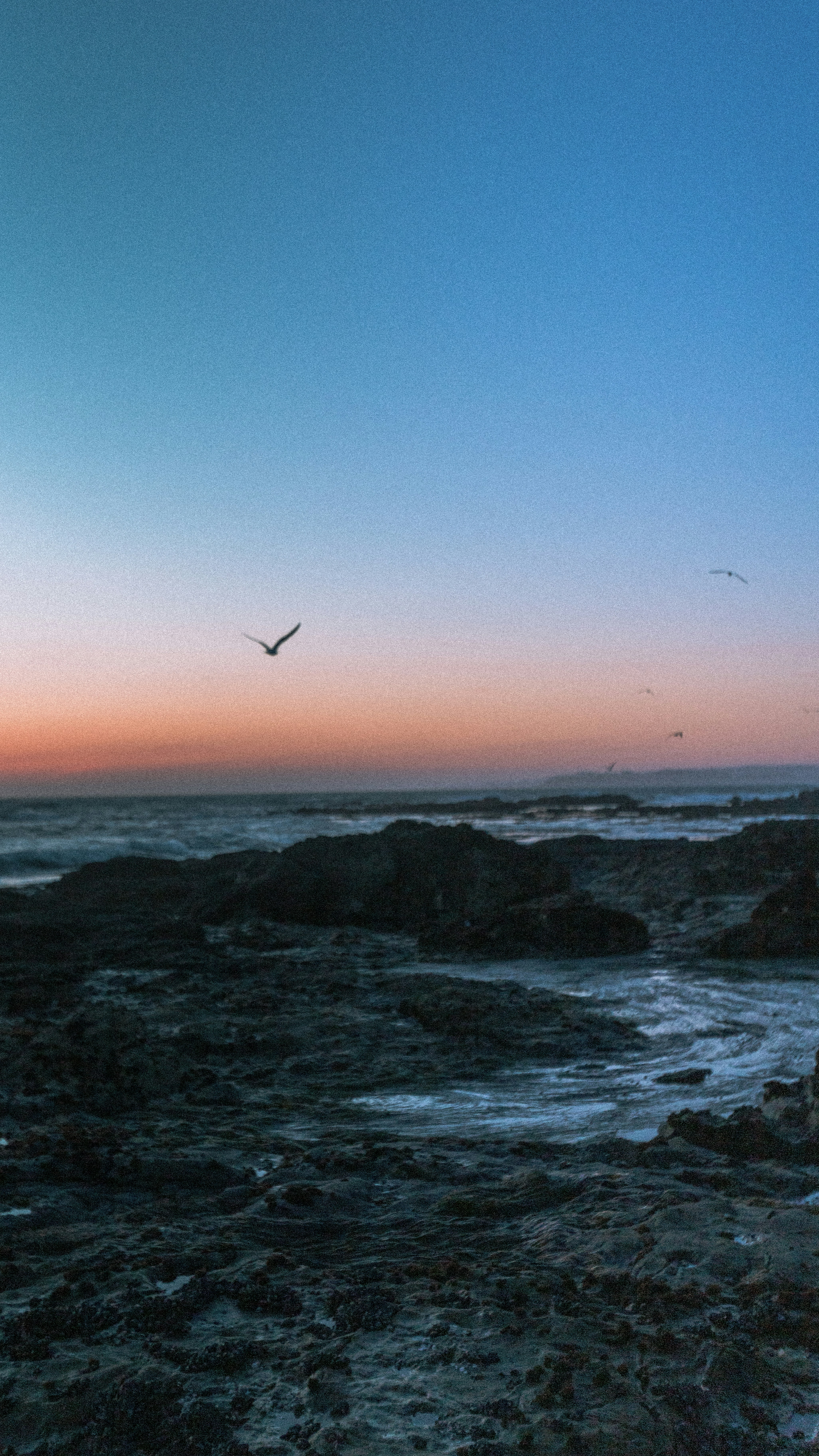 Photo by loganmayerr