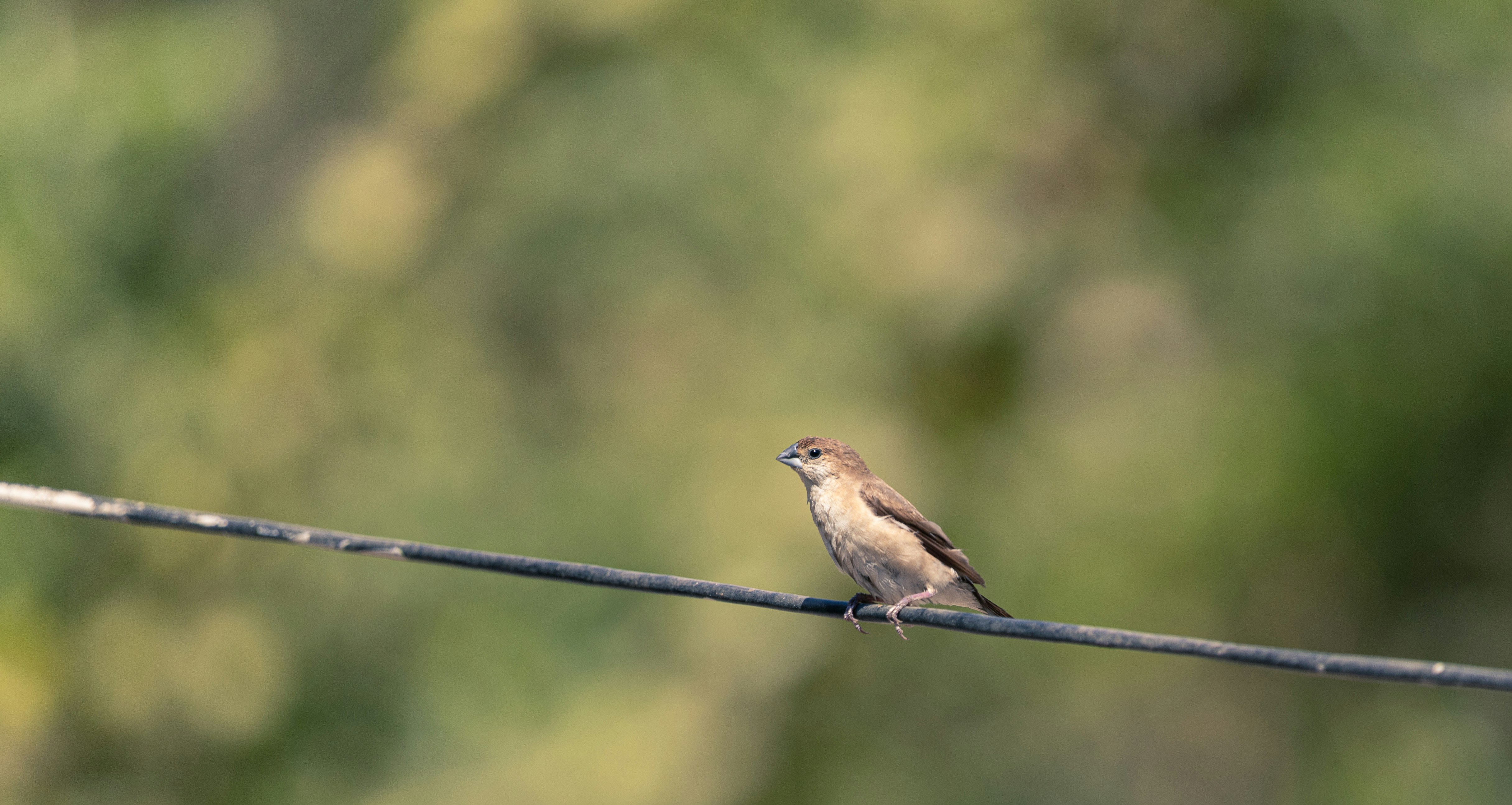 Photo by wildandbeyondbyvivek