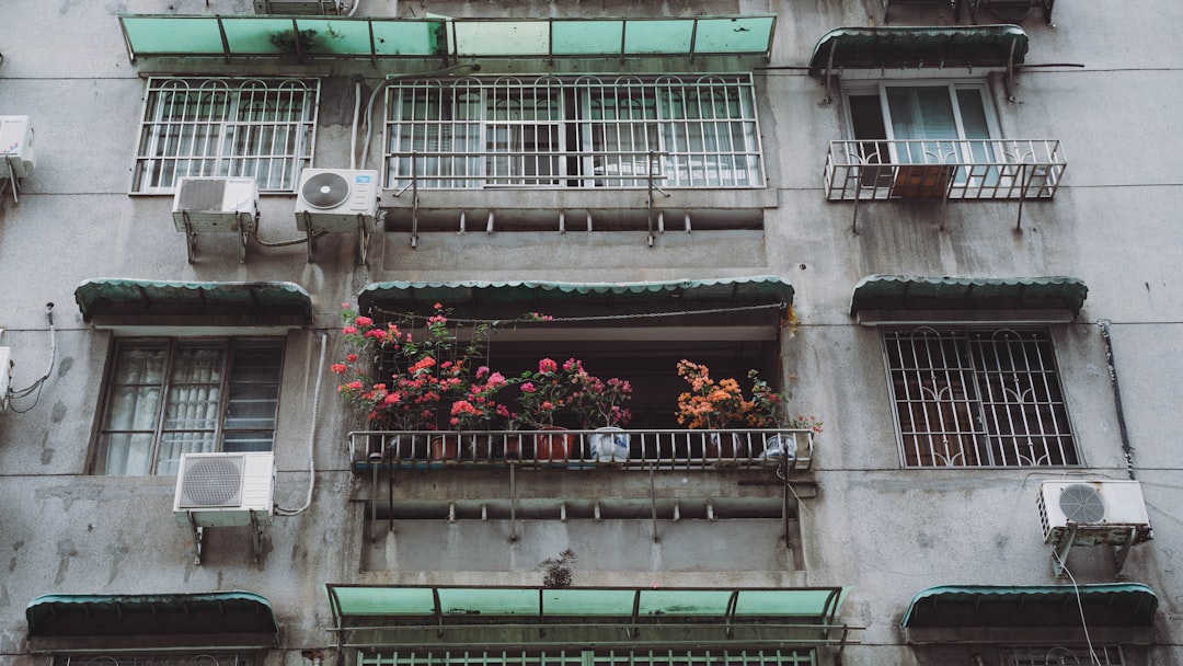 green and brown concrete building