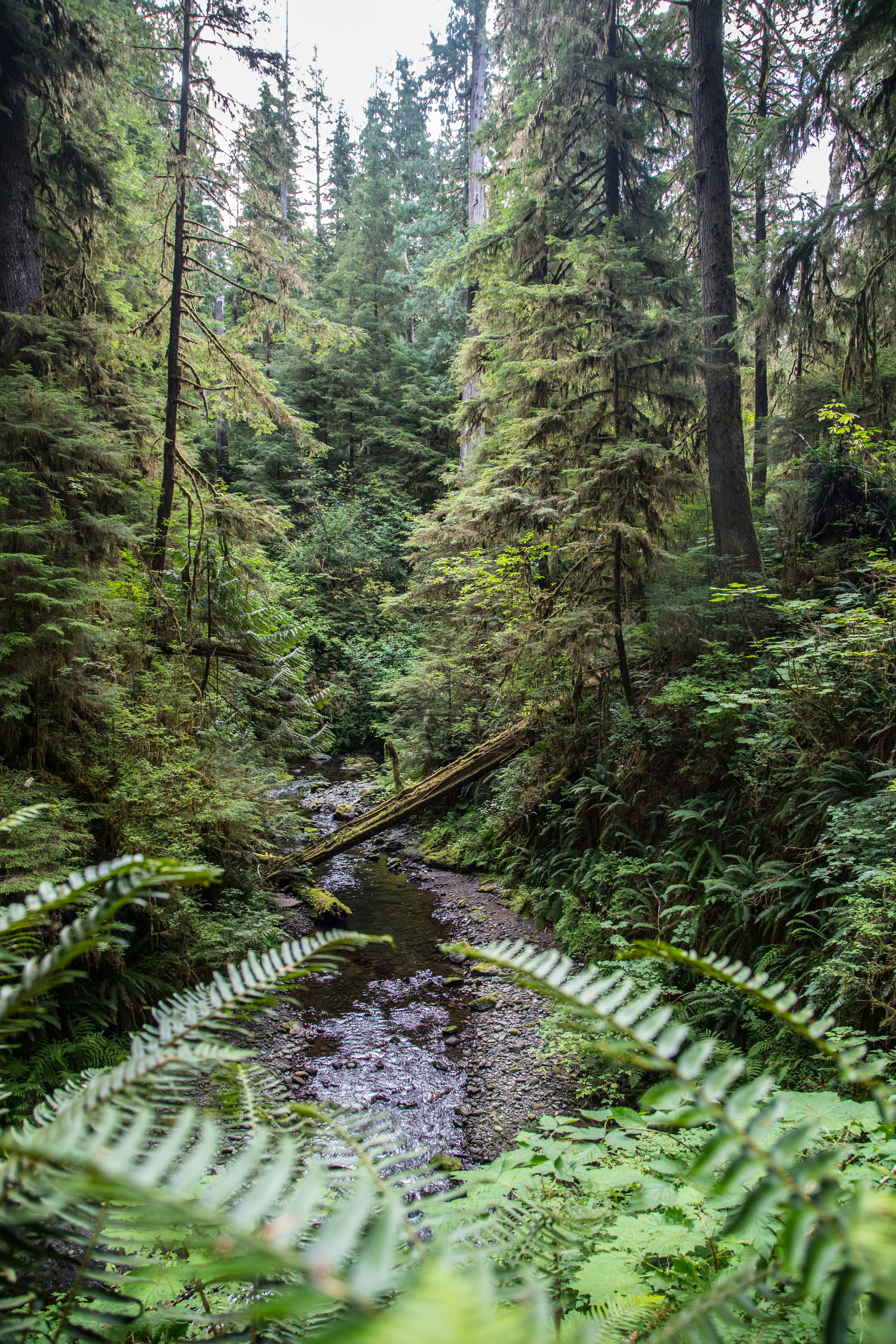 Photo by capturelight