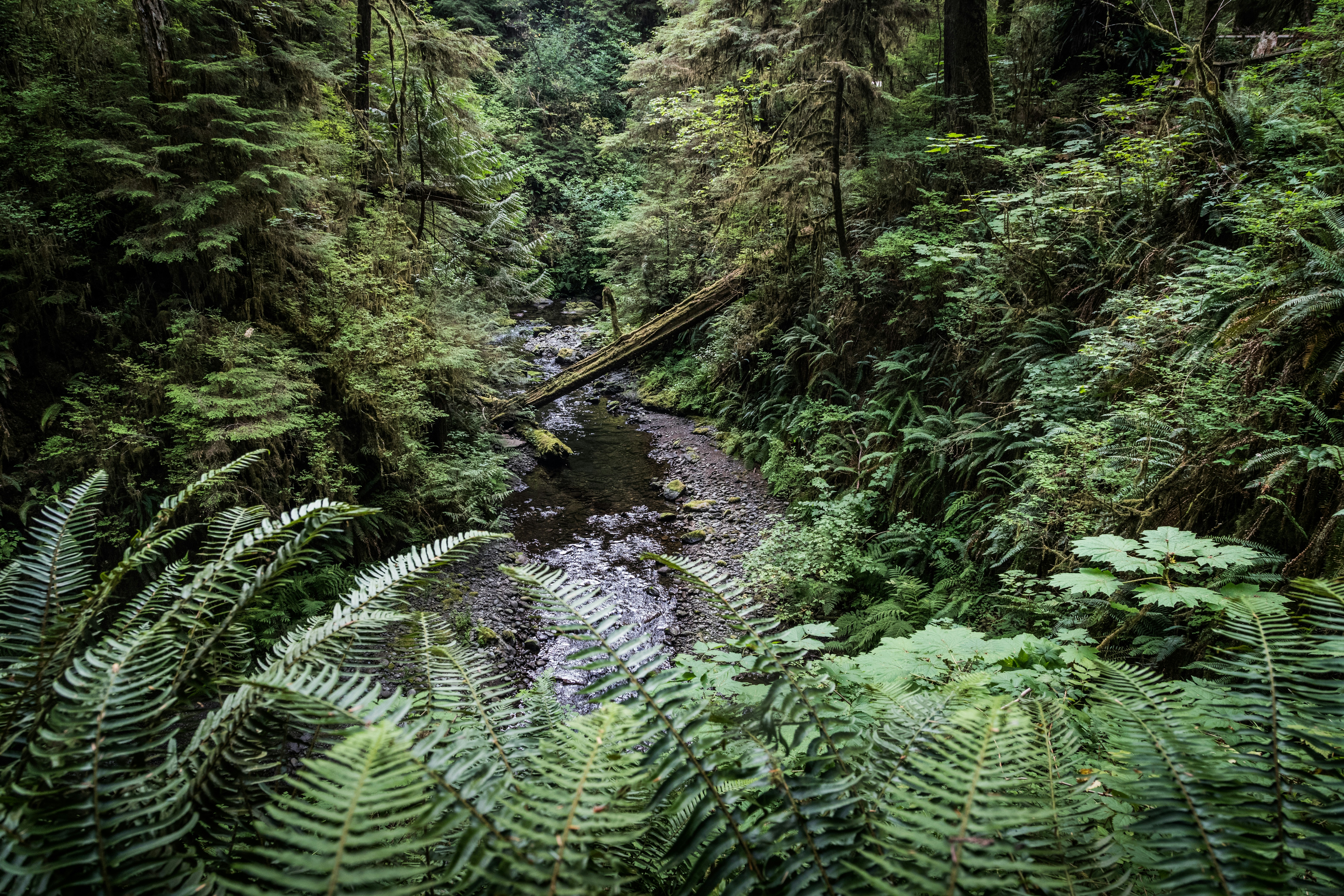 Photo by capturelight