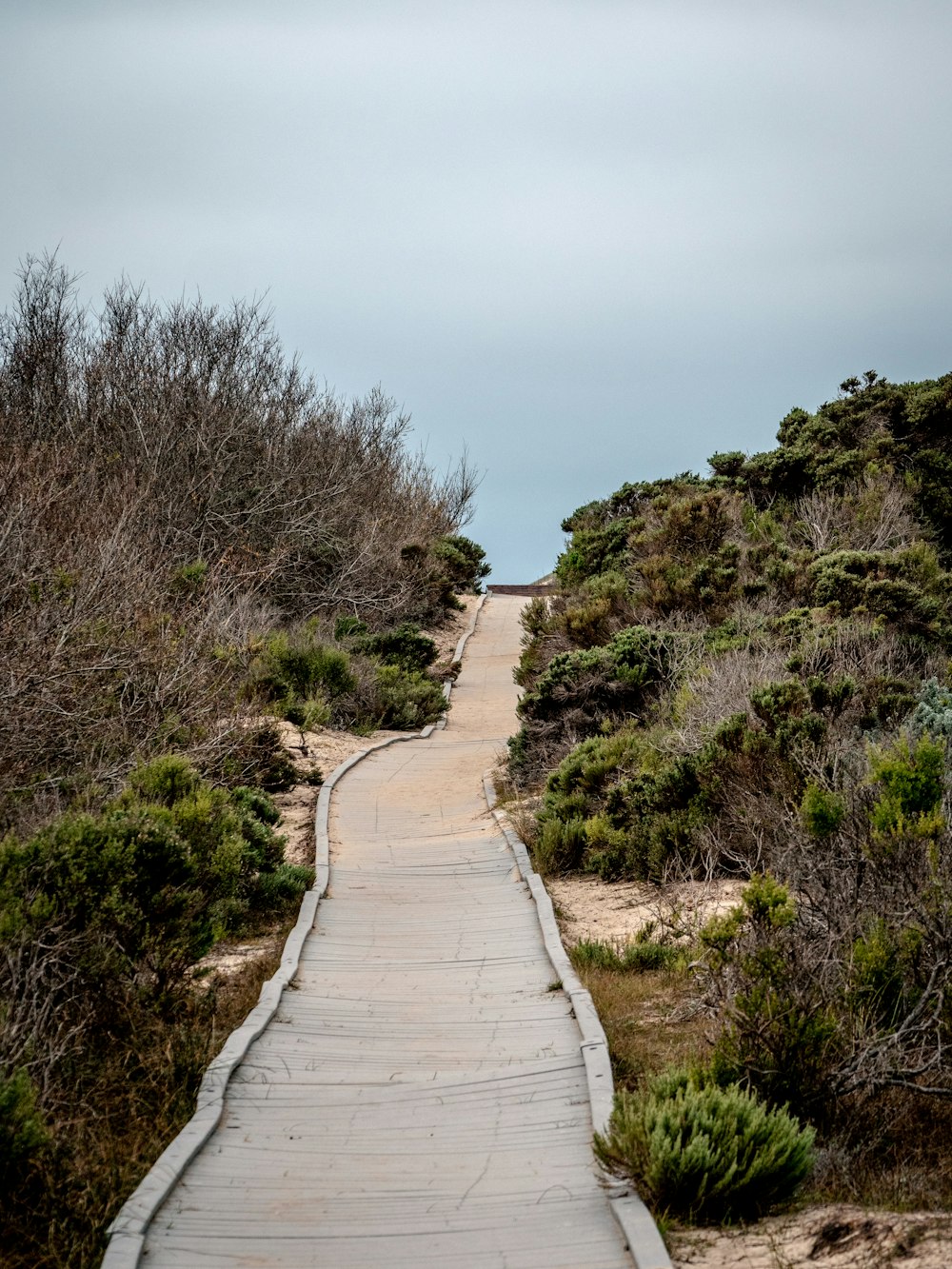 gray concrete pathway between green grass and trees during daytime