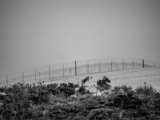 grayscale photo of metal fence