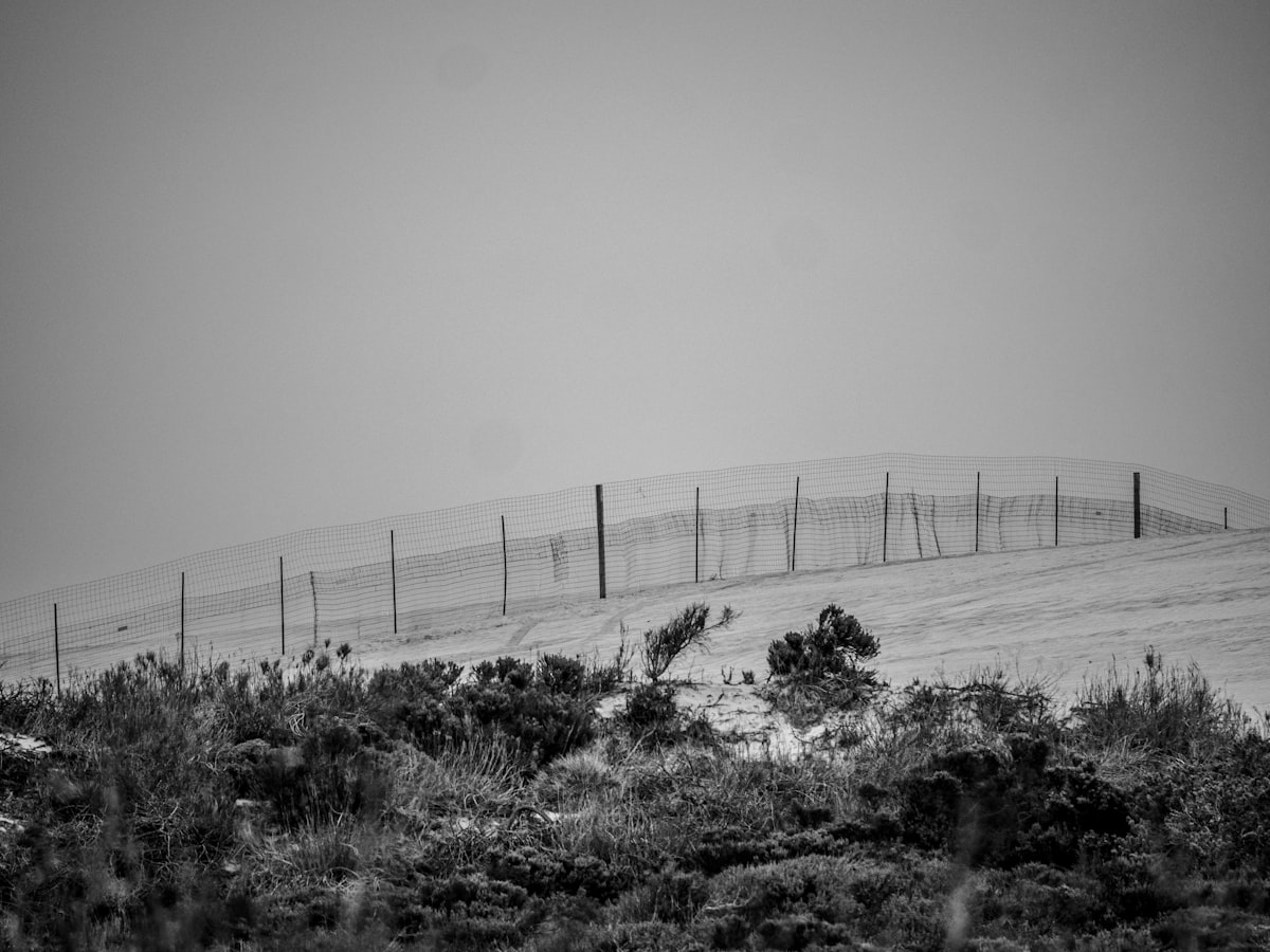 US-Mexico border fence stretching into the distance
