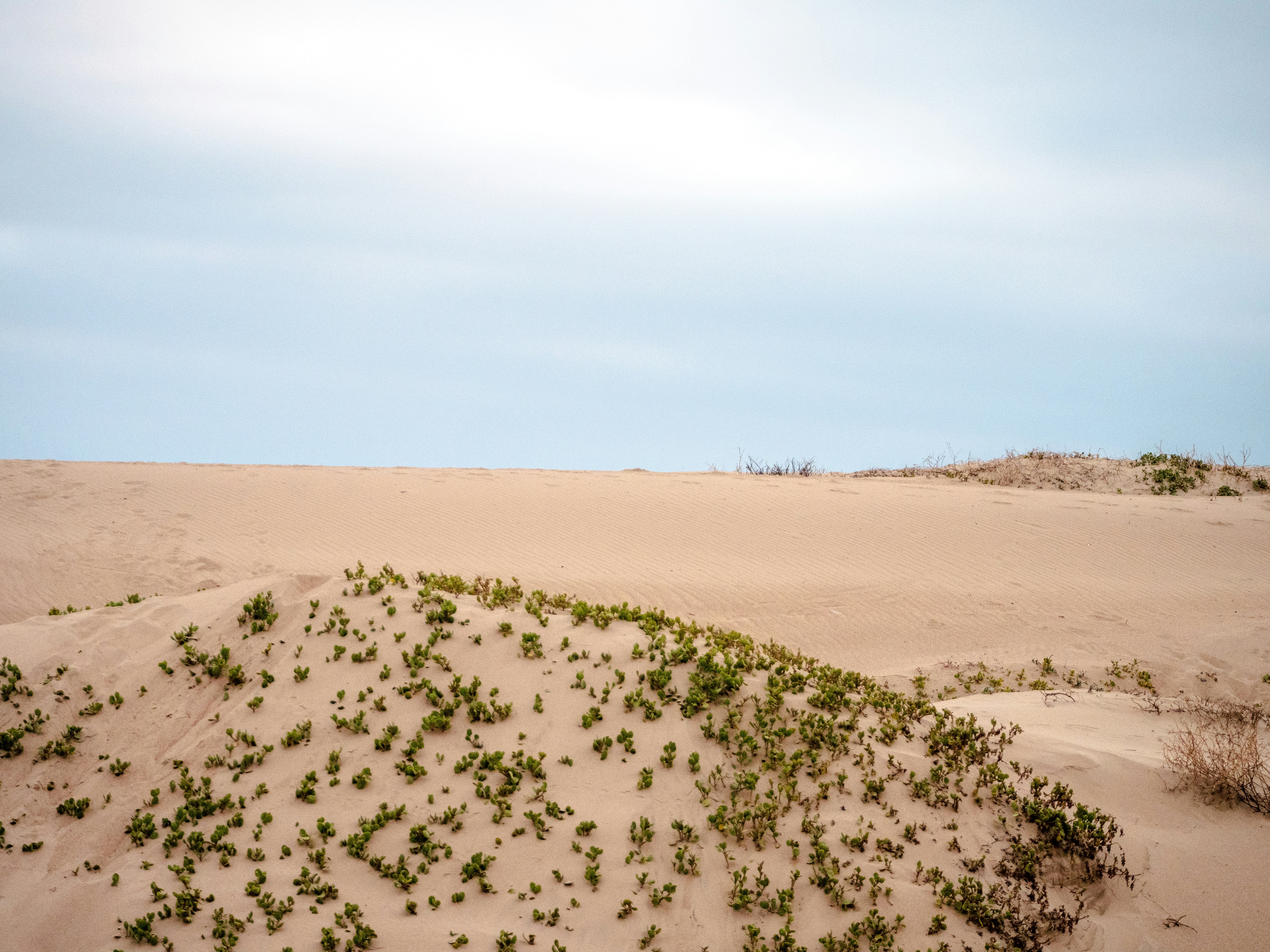 brown sand under blue sky during daytime