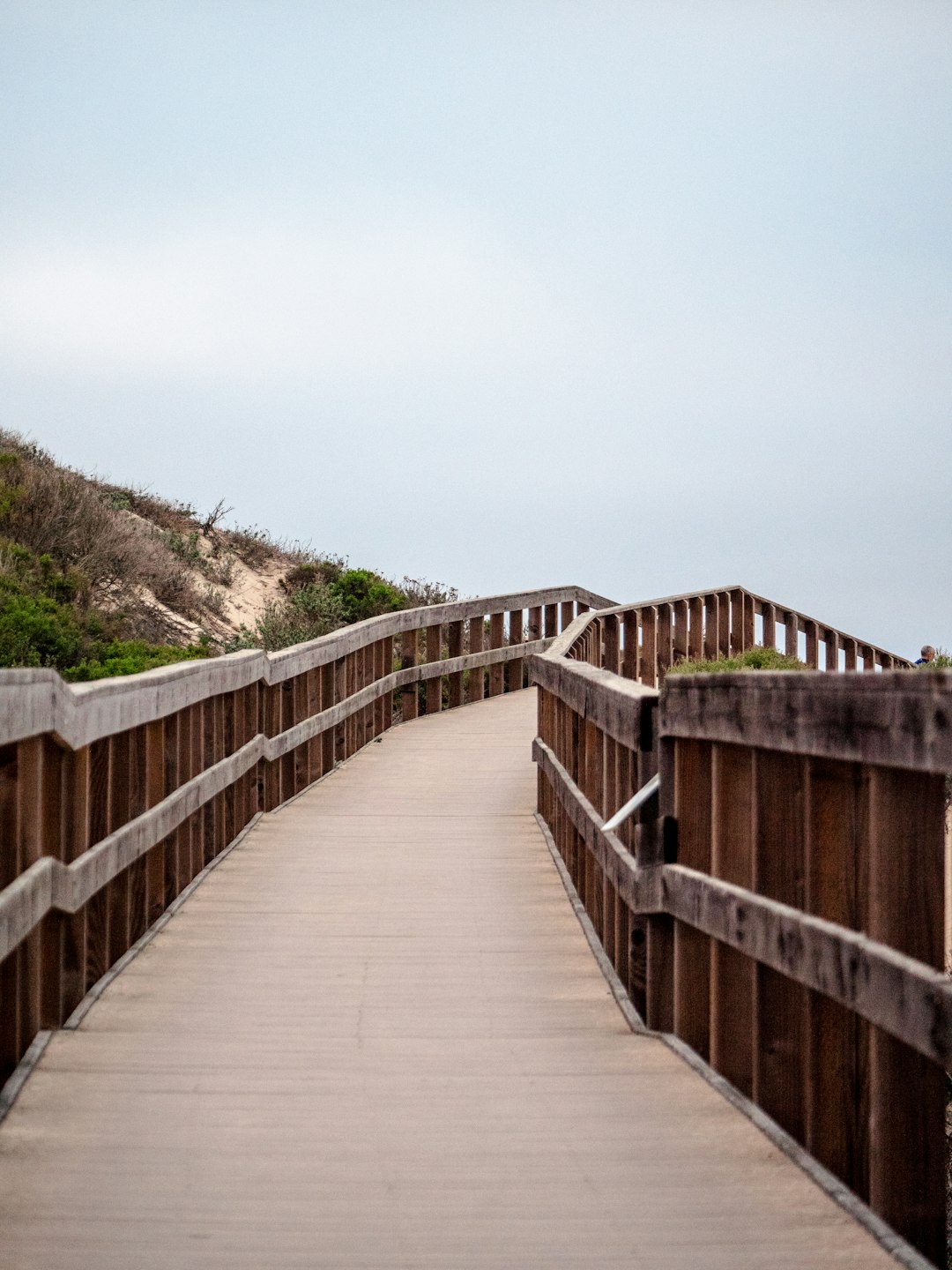 brown wooden bridge over green grass field during daytime