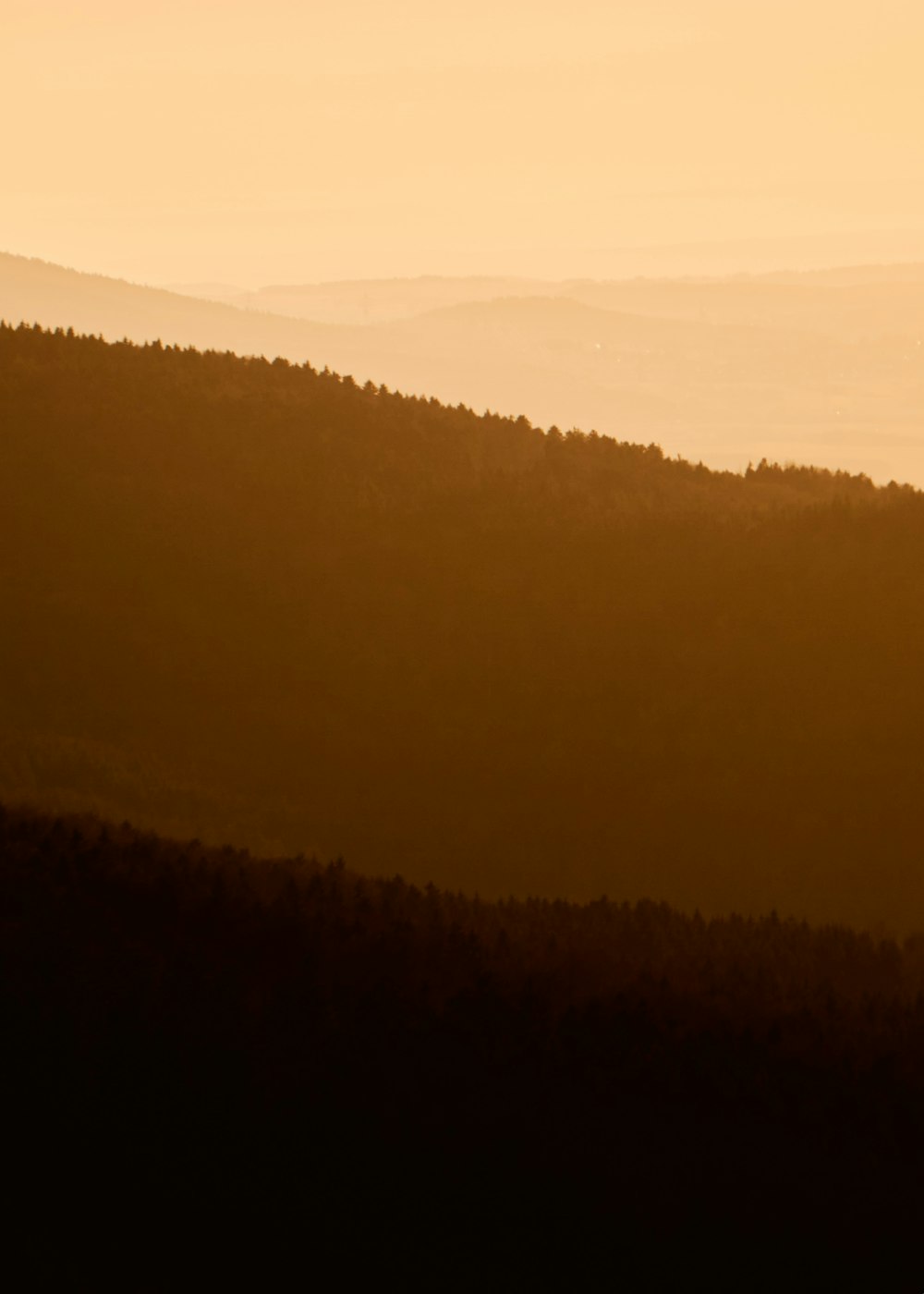 árvores verdes na montanha durante o dia