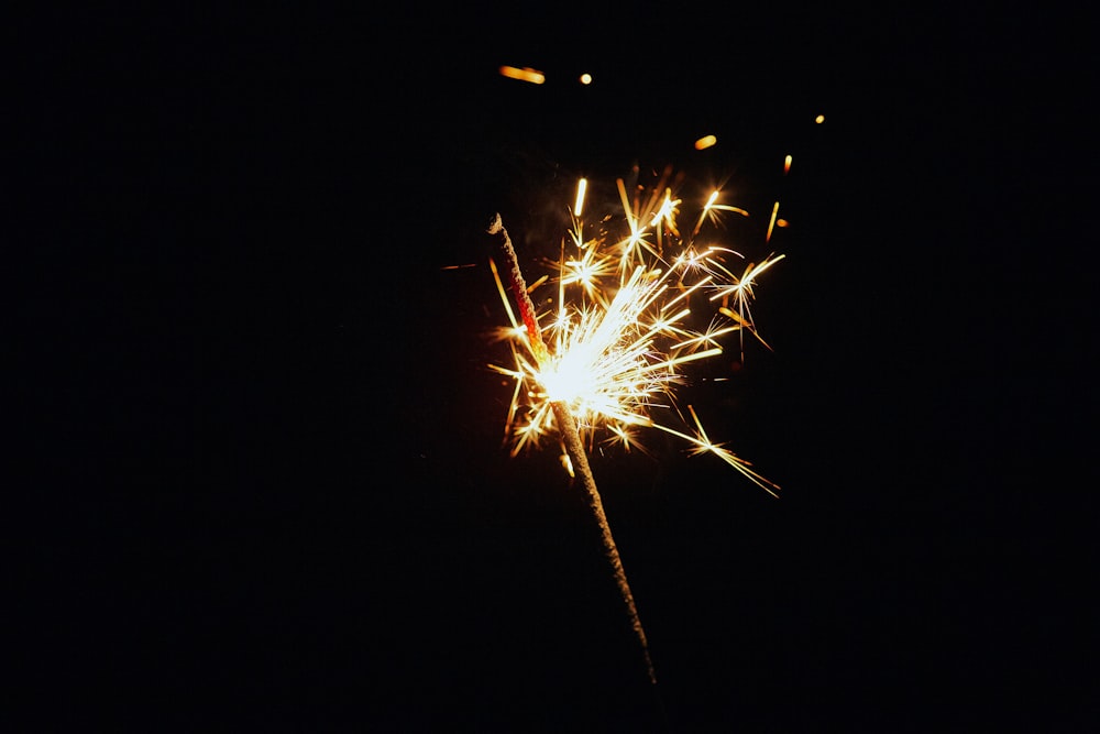 white and yellow fire crackers