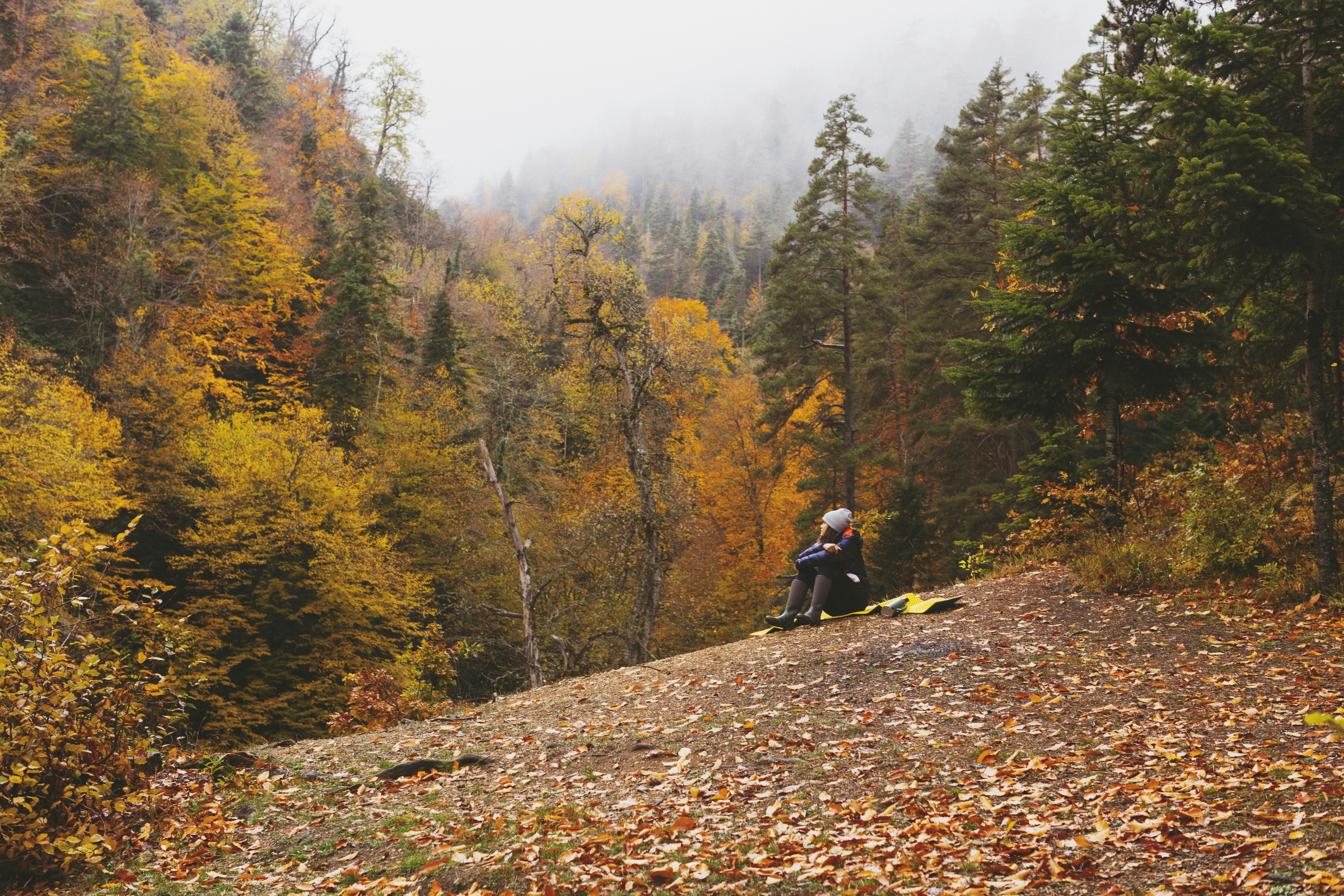 man in black jacket sitting on brown dirt road between green and brown trees during daytime