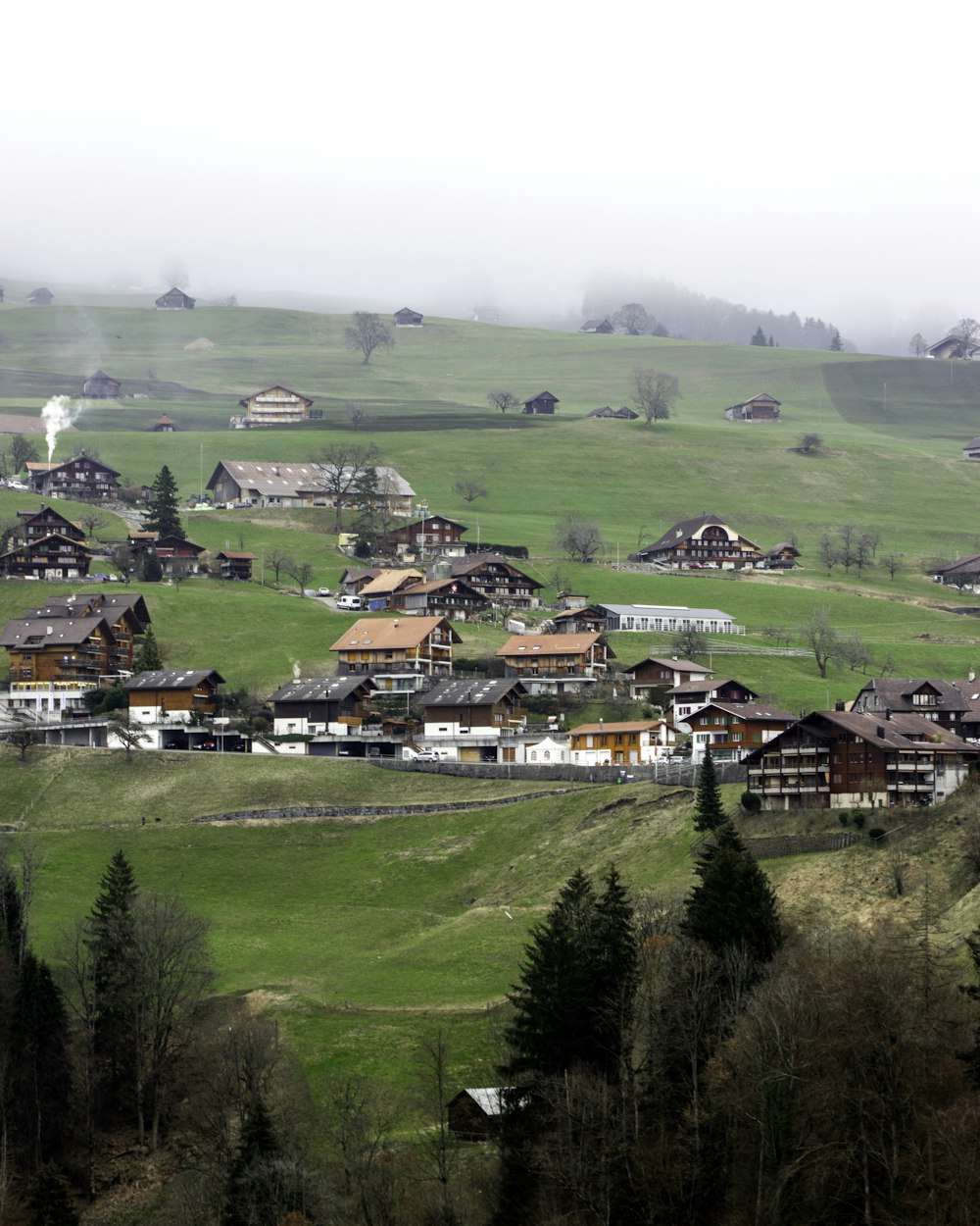 case sul campo di erba verde durante il giorno