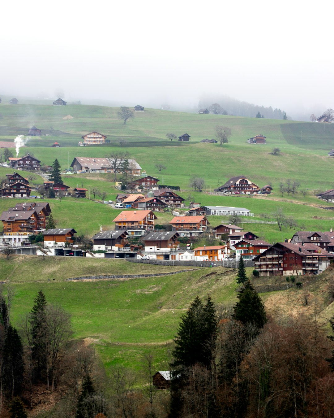 houses on green grass field during daytime