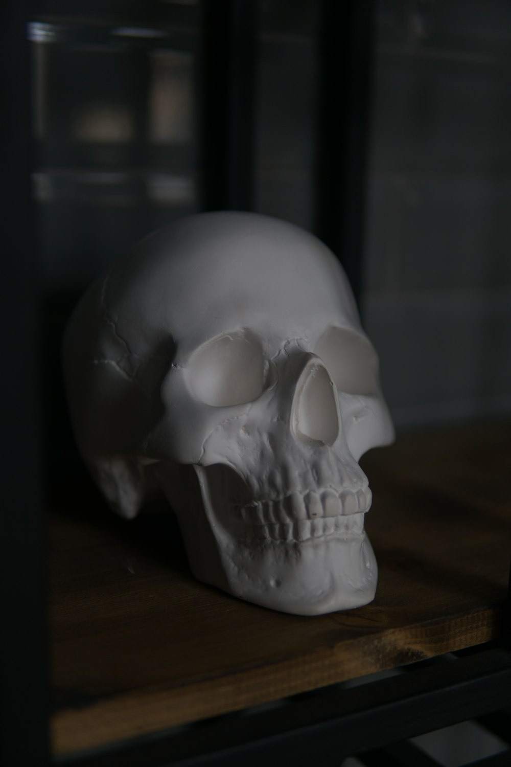 gray skull on brown wooden table