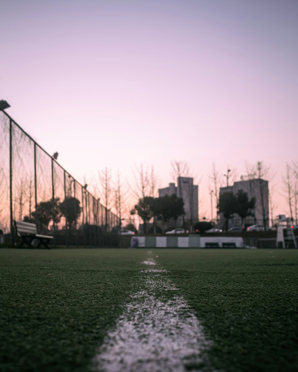 green grass field near body of water during daytime