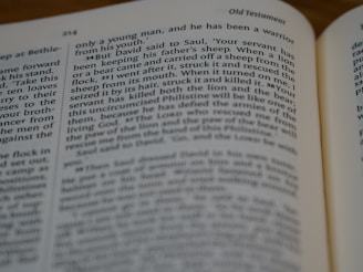 A close-up view of an open book showing a page from the Old Testament, specifically a passage related to David speaking to Saul. Text is clearly visible, with the page number 214 indicated.