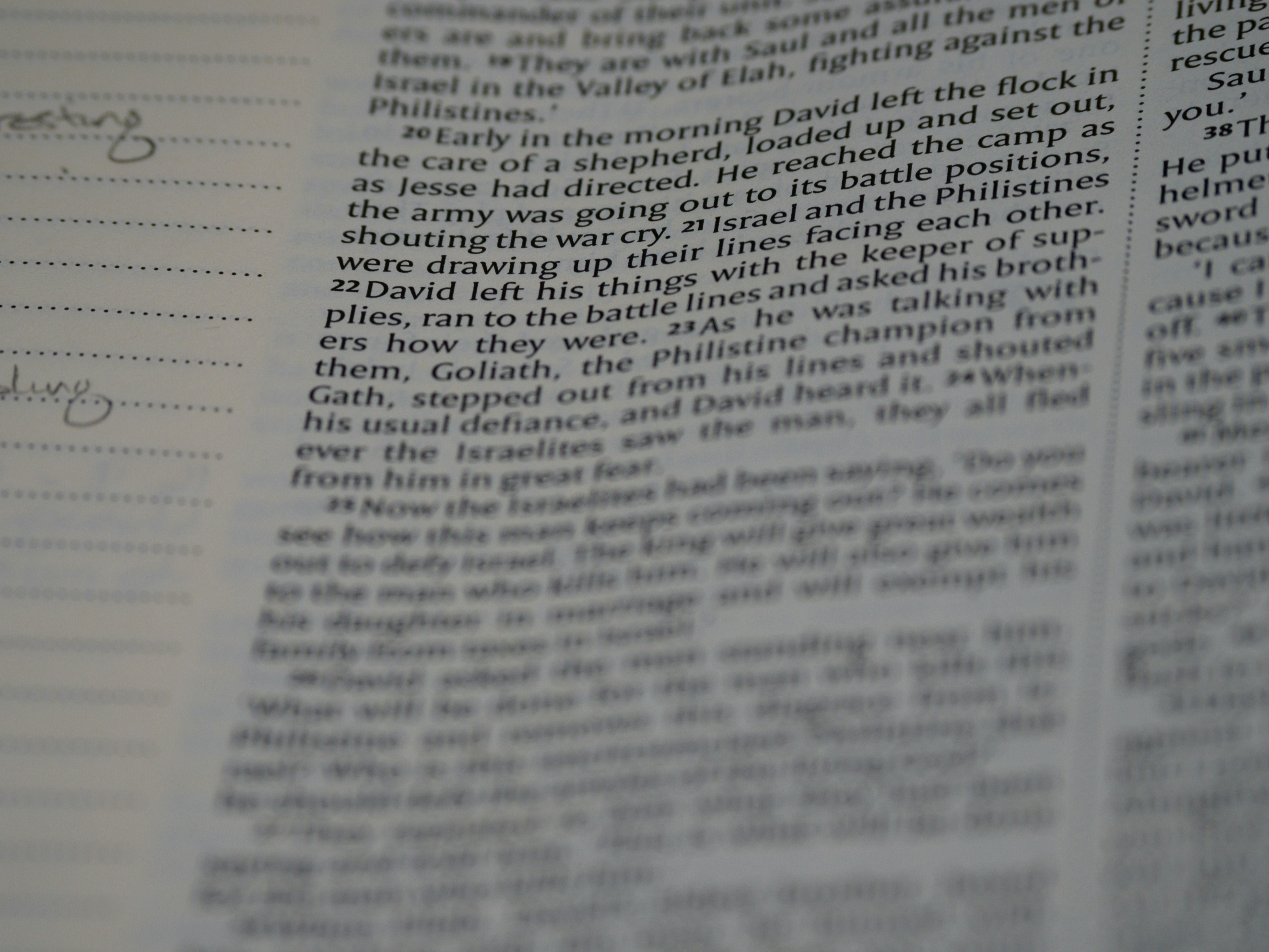 데이비드 트렌드: 최신 패션과 라이프스타일 변화에 대한 통찰