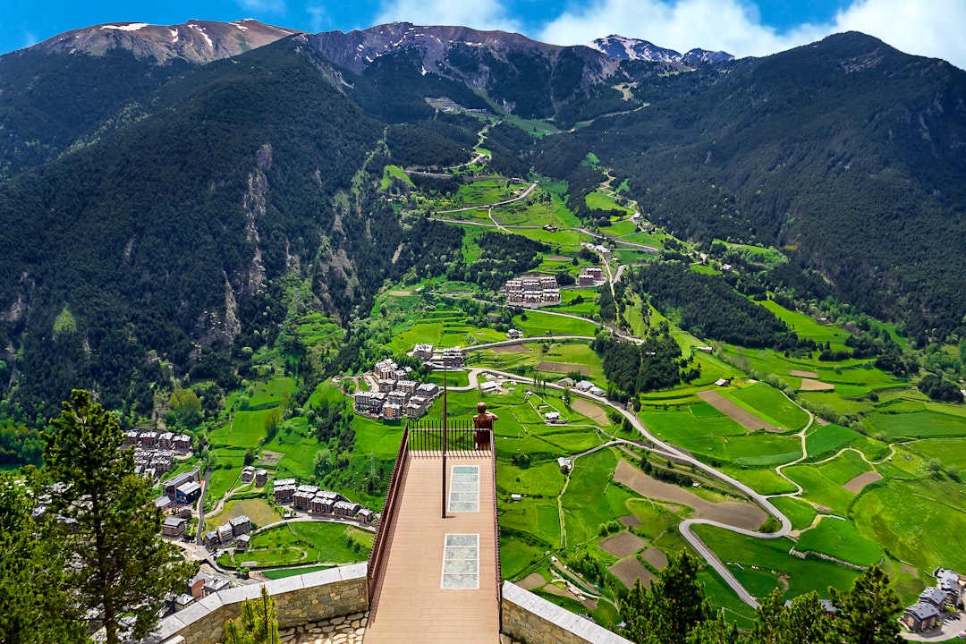 aerial view of green mountains during daytime