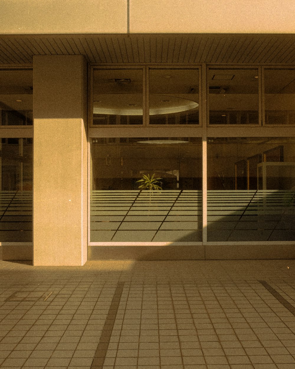 white and gray concrete building