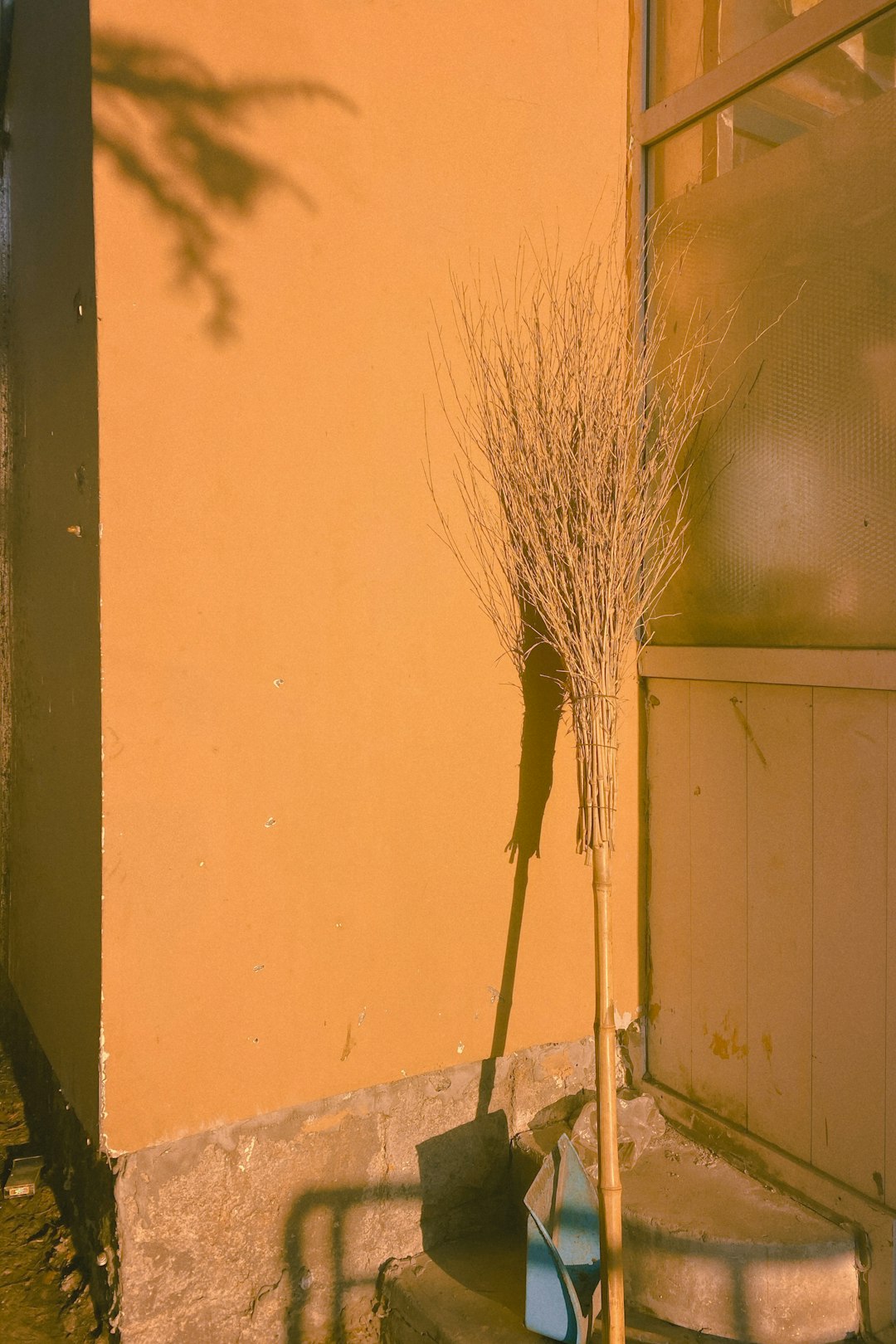 brown dried plant on gray metal rod