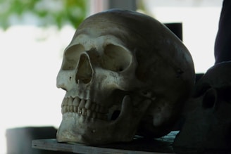 Recebo Pensão por Morte, Se Eu Me Casar Perco o Benefício?